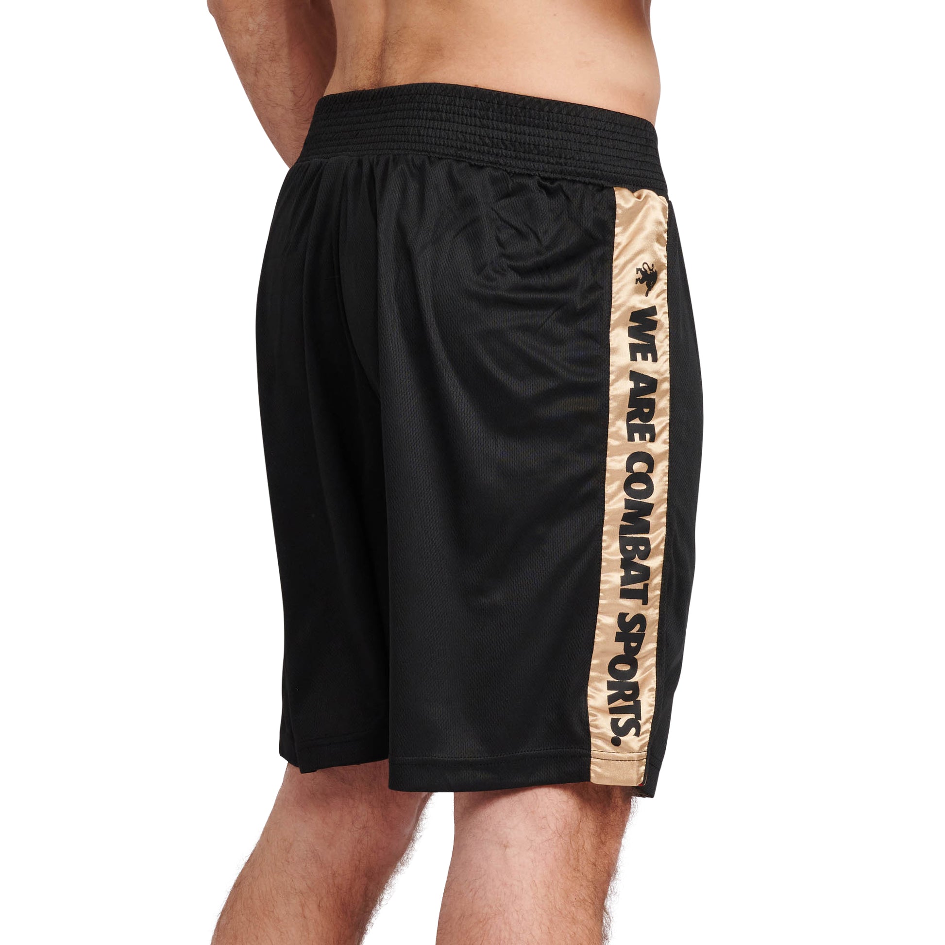 BOXING TANK DNA
AB228
