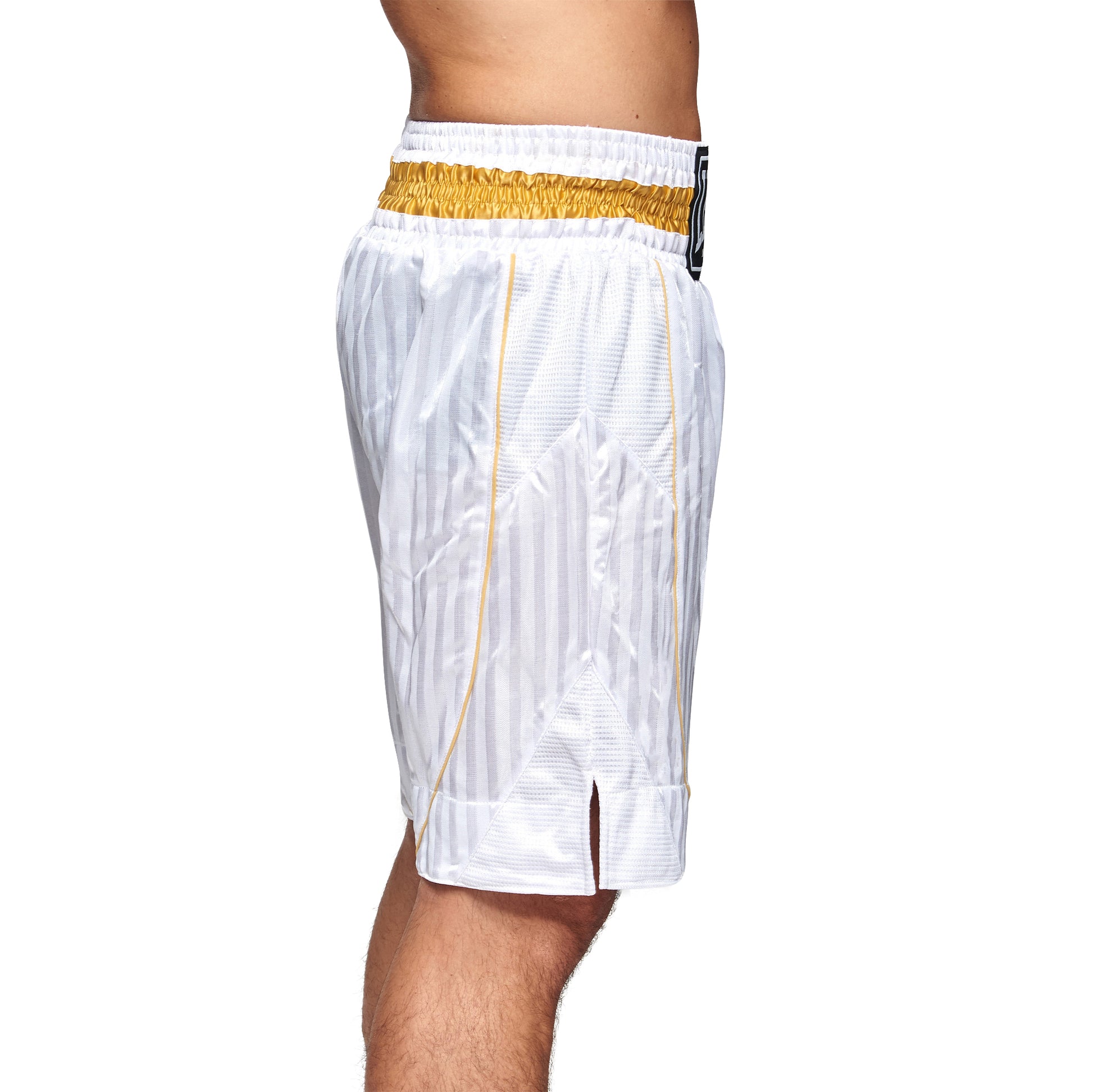 PREMIUM BOXING SHORTS
AB240