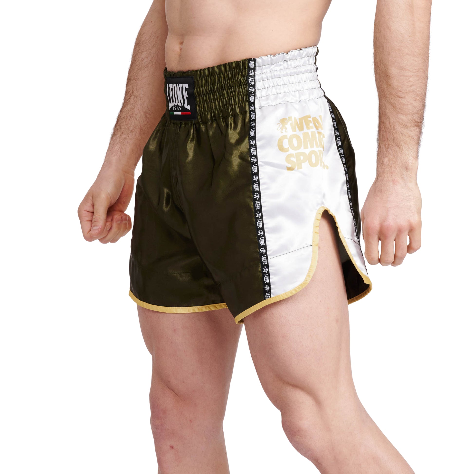 TRAINING THAI SHORTS
AB760