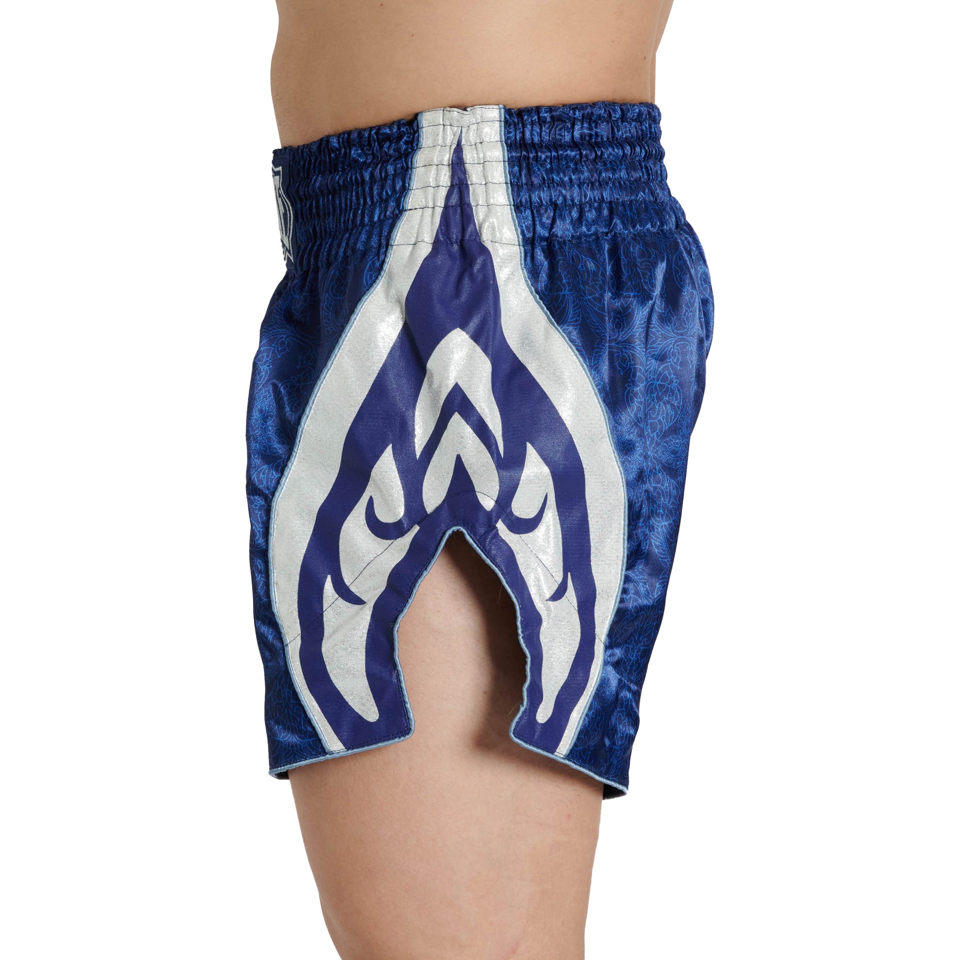 CELESTIAL KICK/THAI SHORTS
AB878