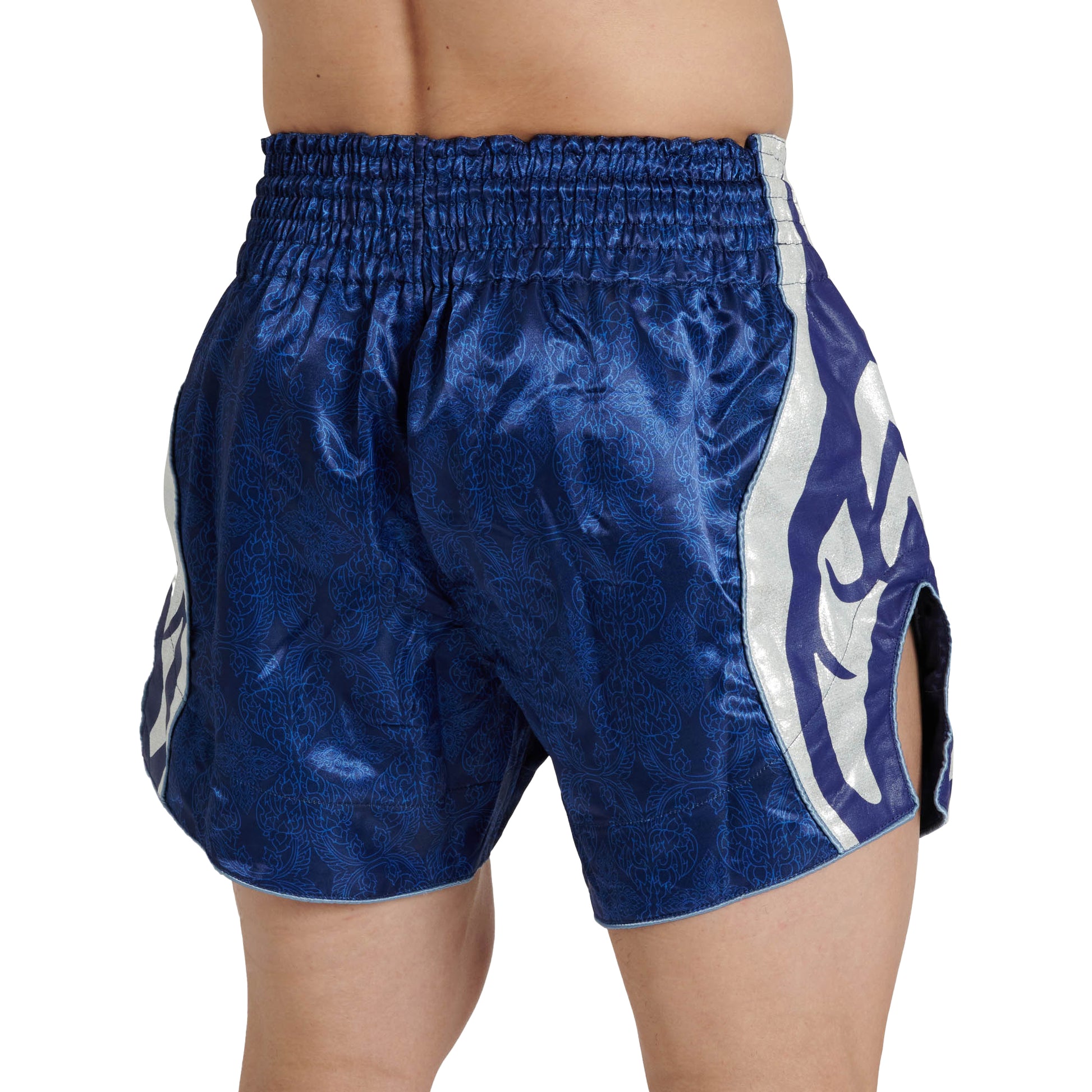 CELESTIAL KICK/THAI SHORTS
AB878