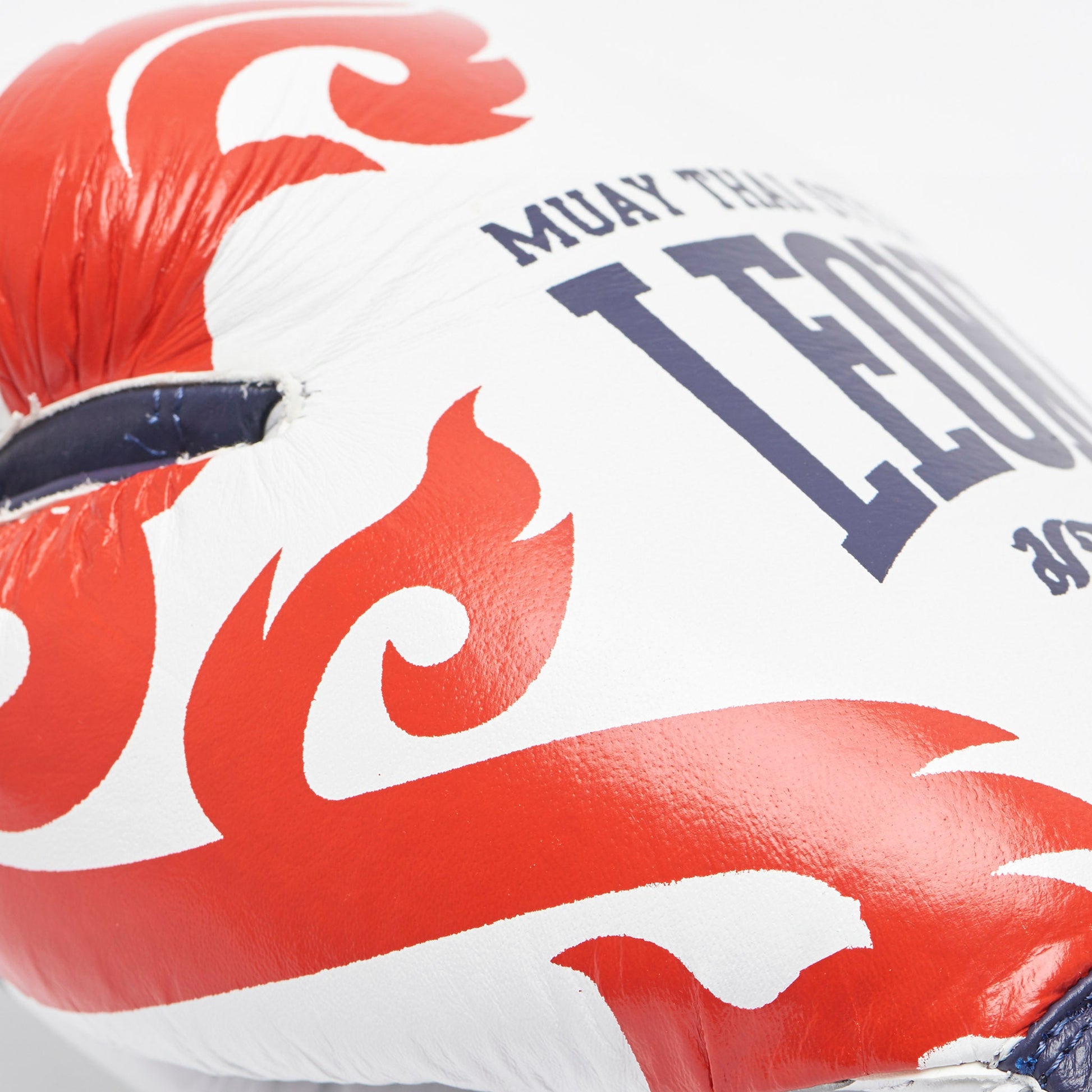 Muay Thai Boxing Gloves