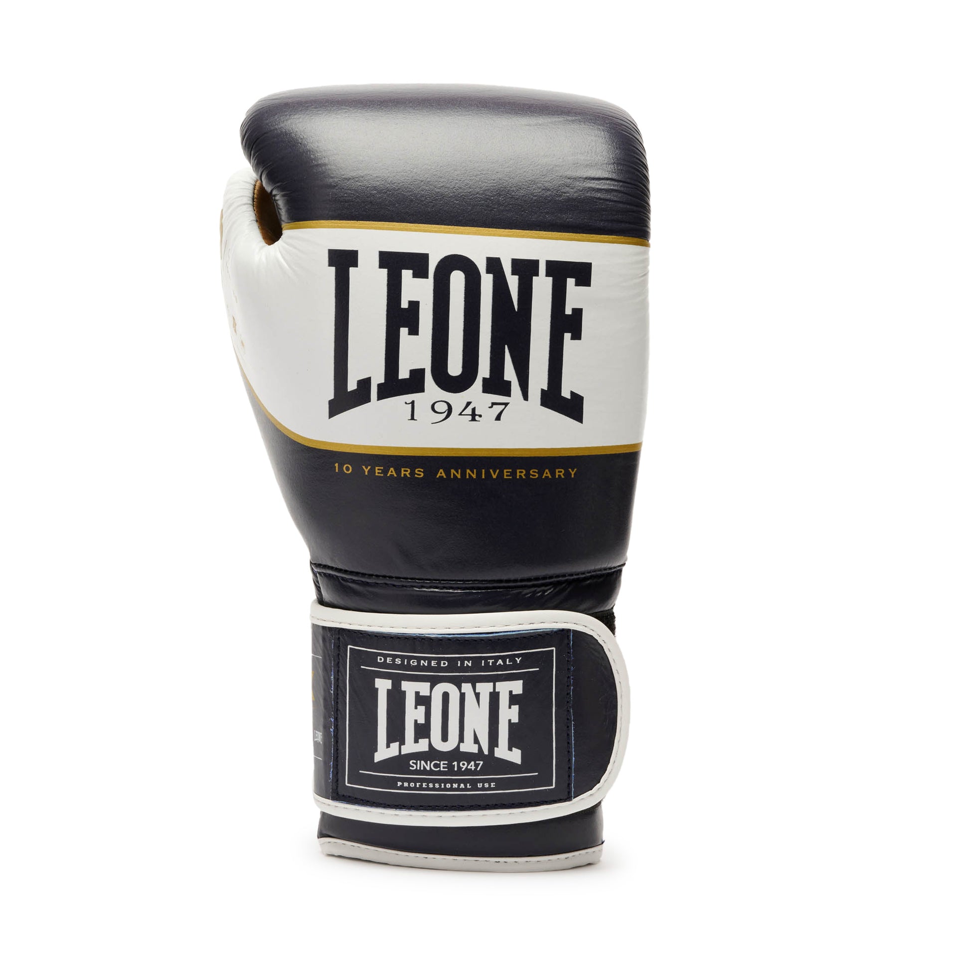 SHOCK X BOXING GLOVES
GN047X