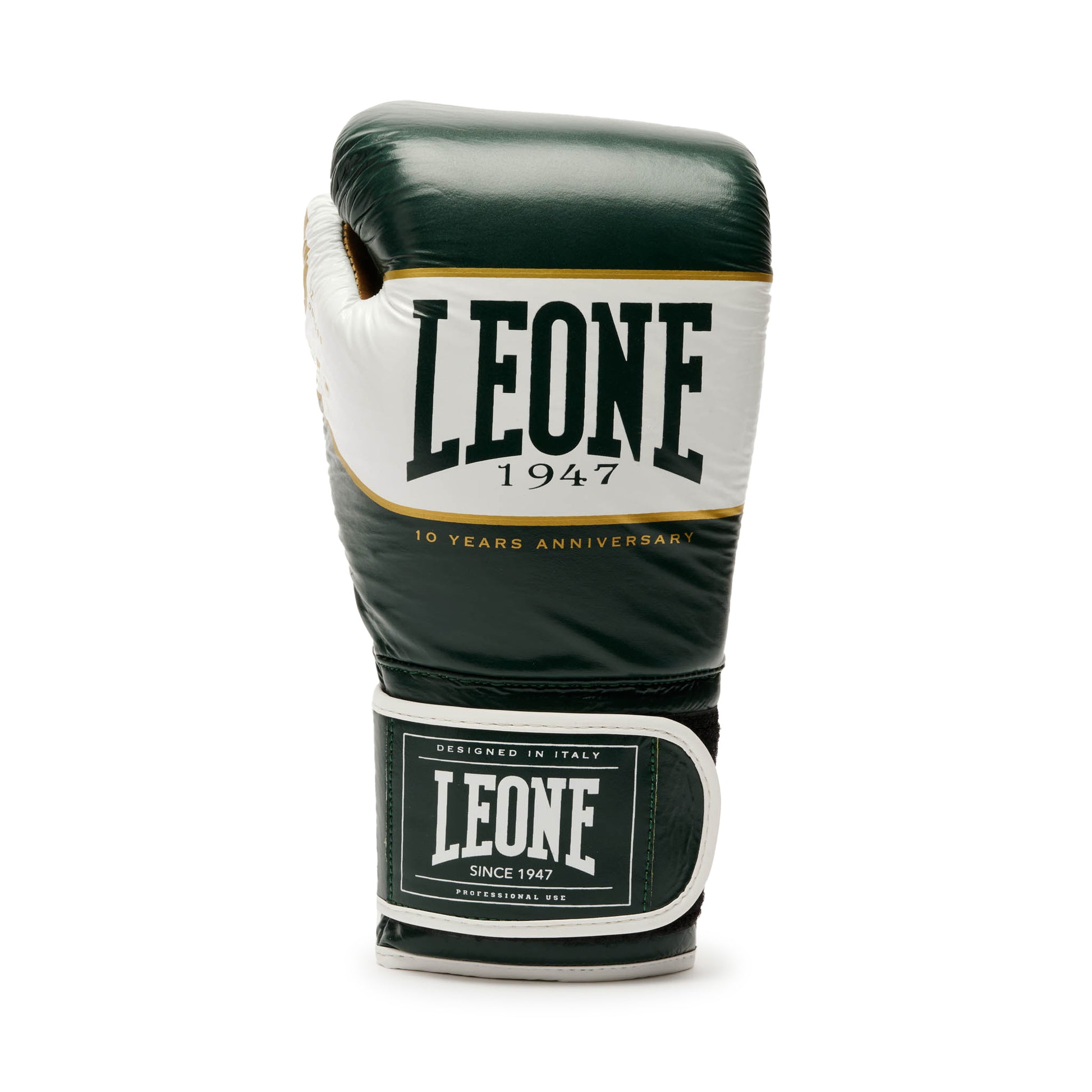 SHOCK X BOXING GLOVES
GN047X