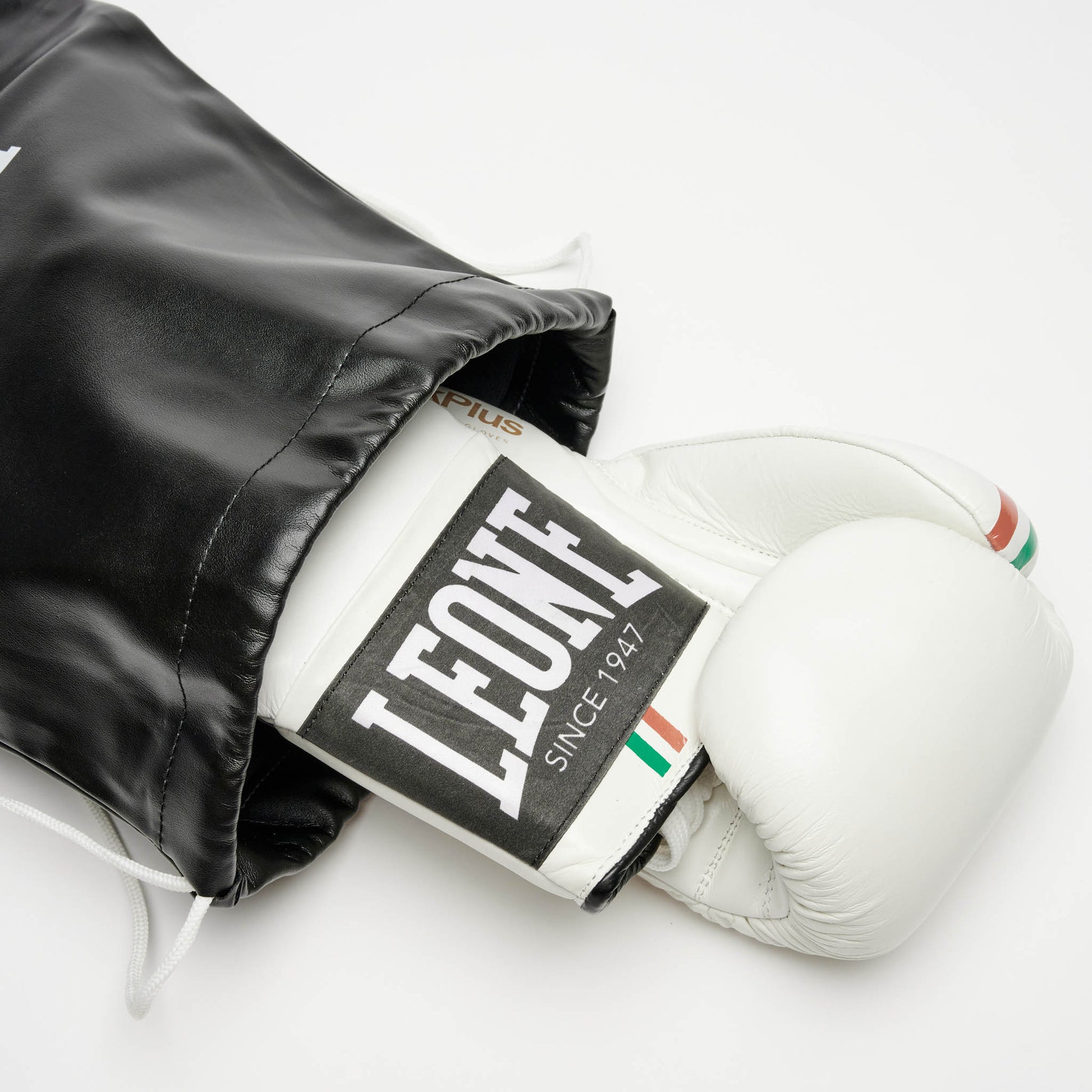 SHOCK PLUS BOXING GLOVES
GN102L