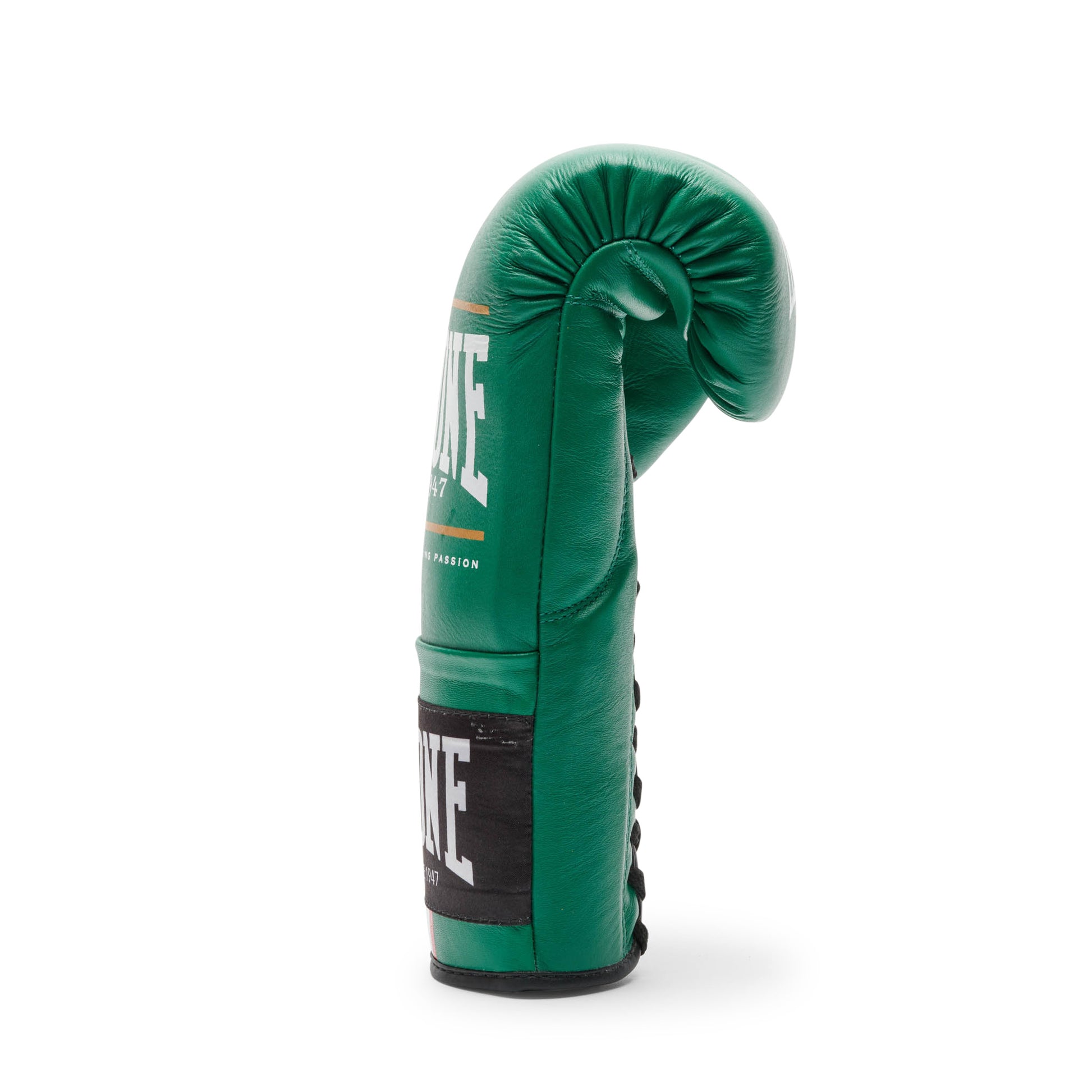 SHOCK PLUS BOXING GLOVES
GN102L