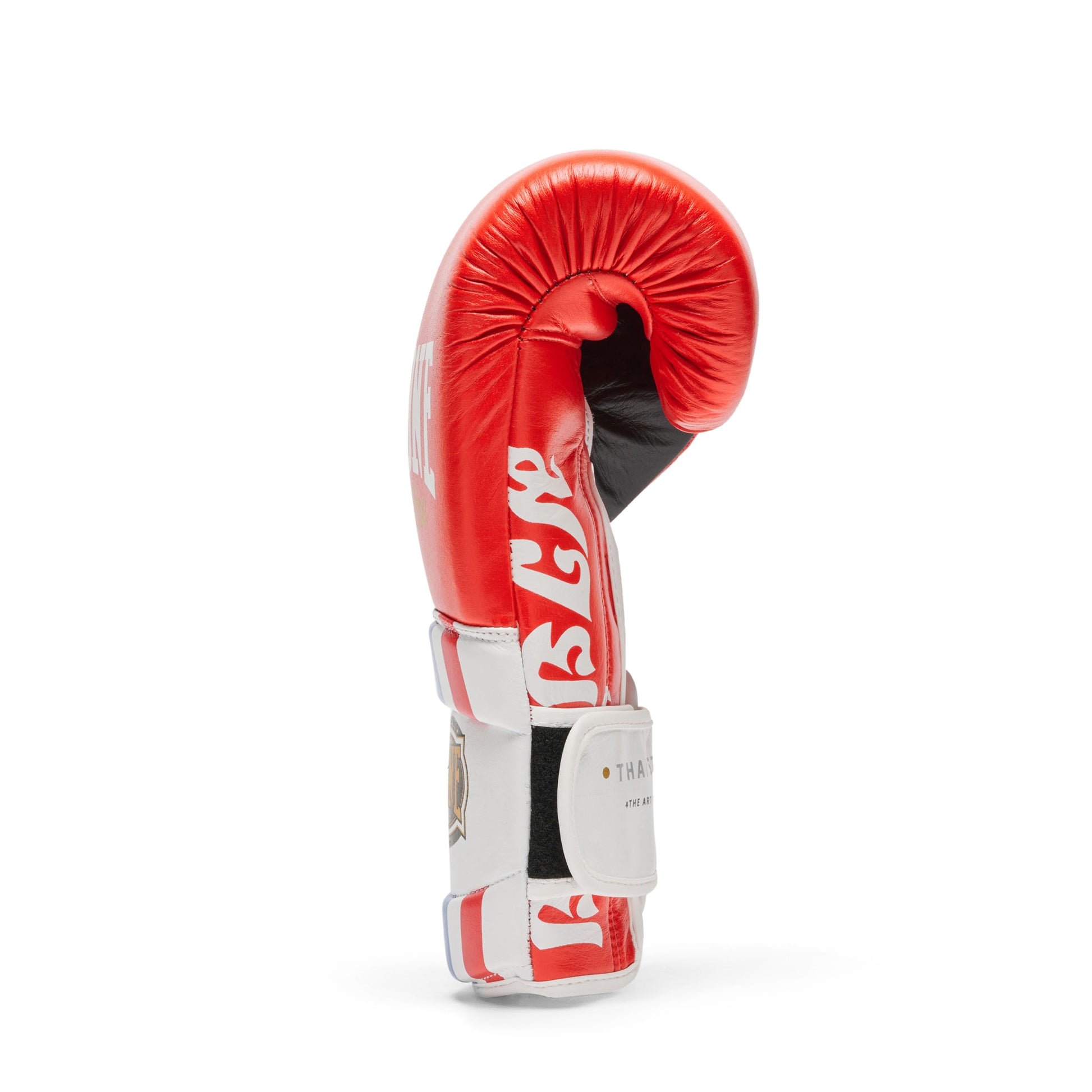 BOXING GLOVES THAI STYLE
GN114