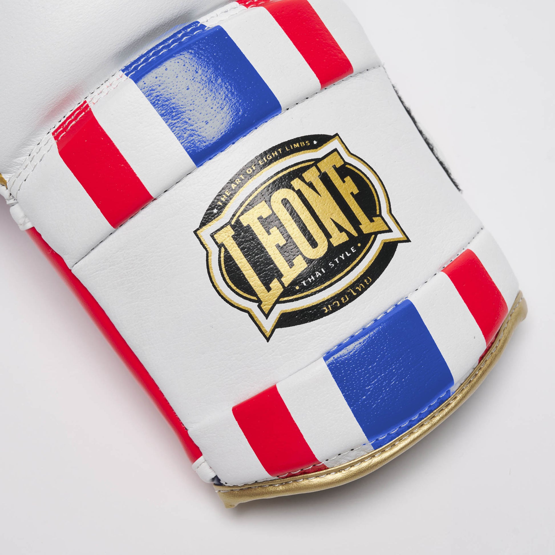 BOXING GLOVES THAI STYLE
GN114