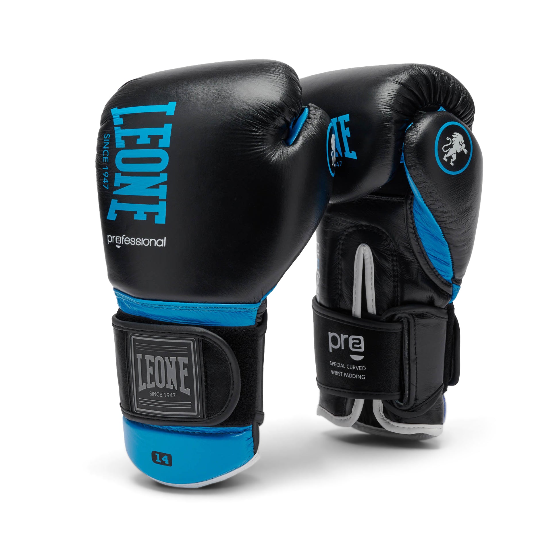 PROFESSIONAL 2 BOXING GLOVES
GN115C