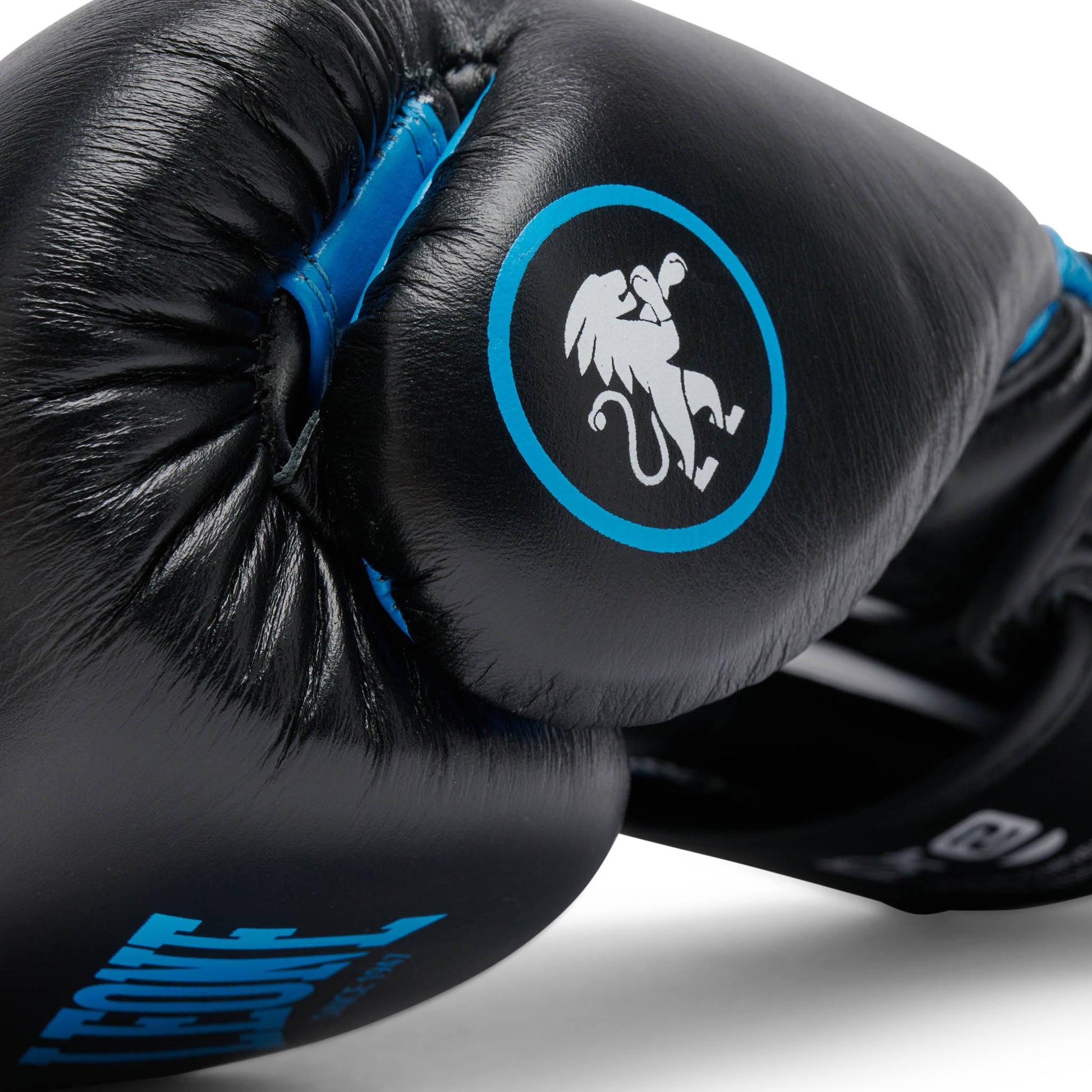 PROFESSIONAL 2 BOXING GLOVES
GN115C