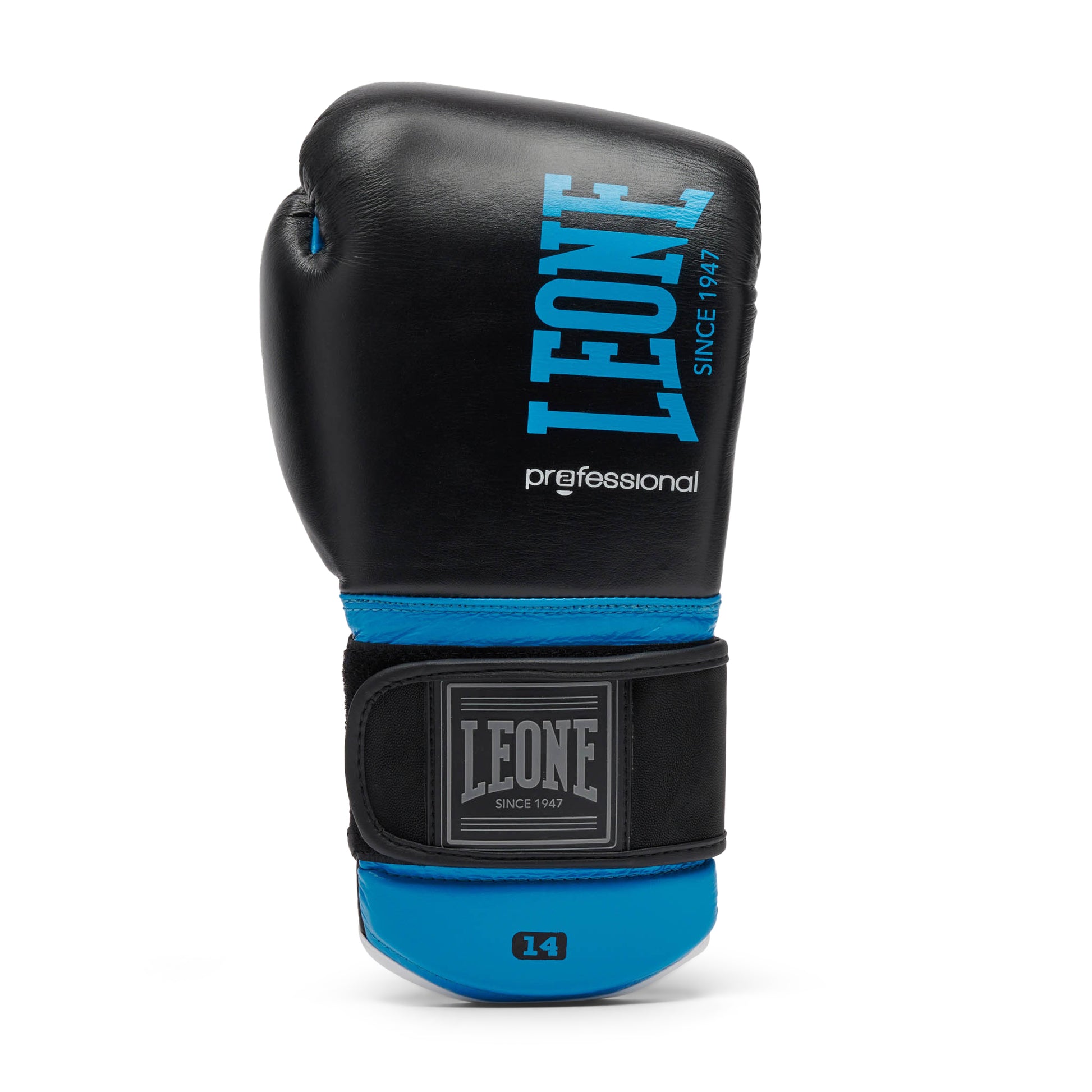 PROFESSIONAL 2 BOXING GLOVES
GN115C