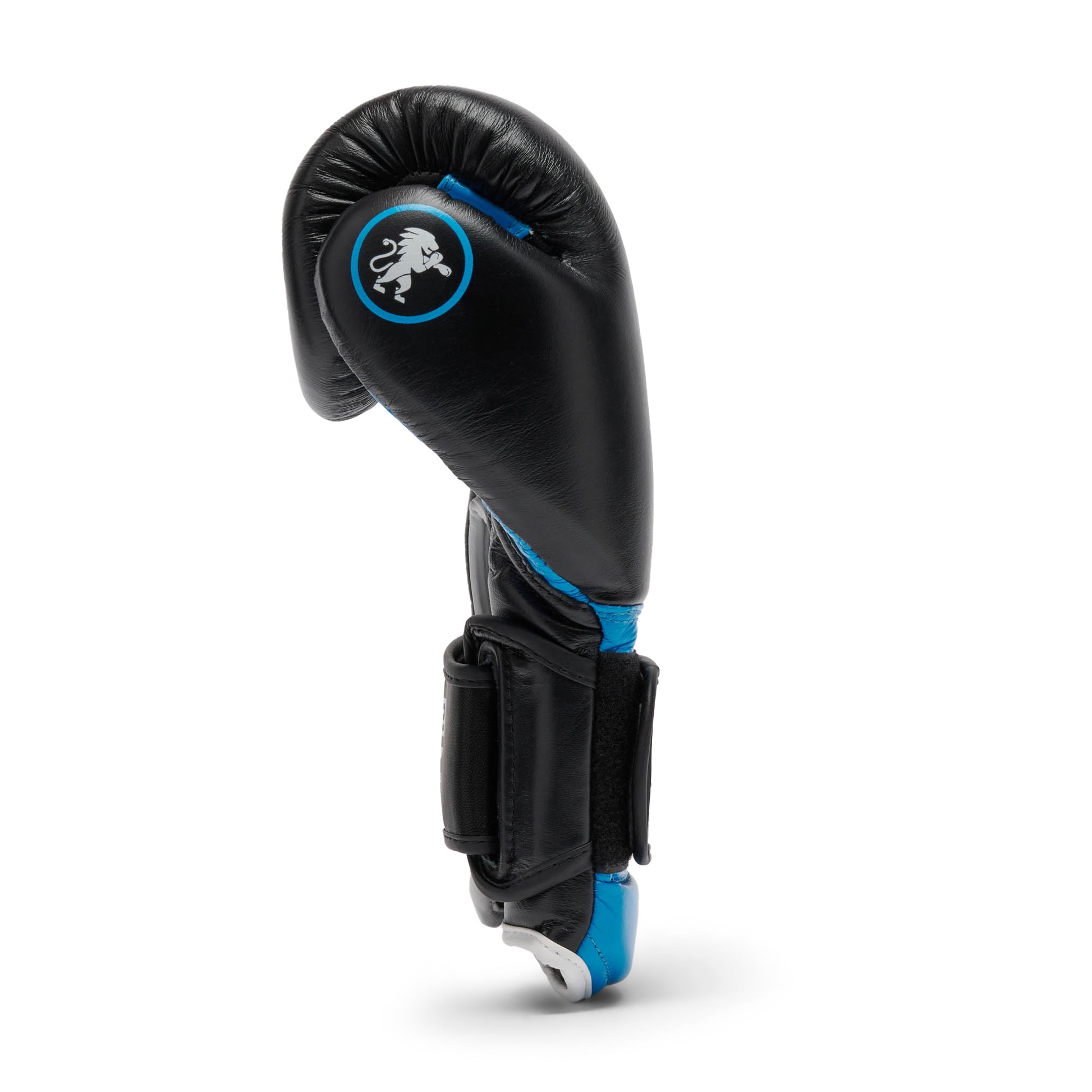 PROFESSIONAL 2 BOXING GLOVES
GN115C
