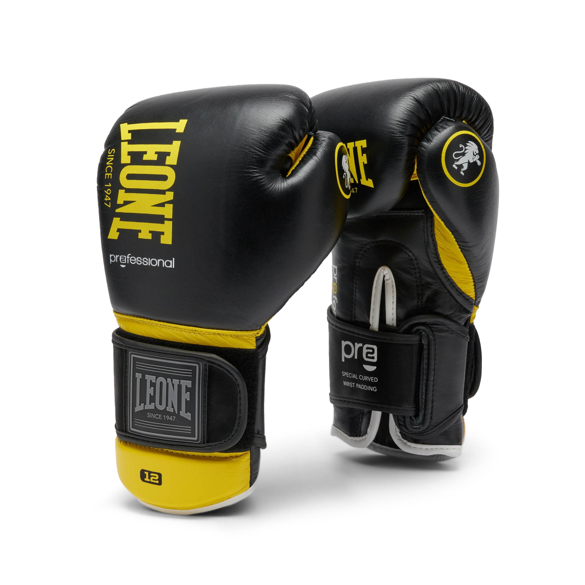 PROFESSIONAL 2 BOXING GLOVES
GN115C