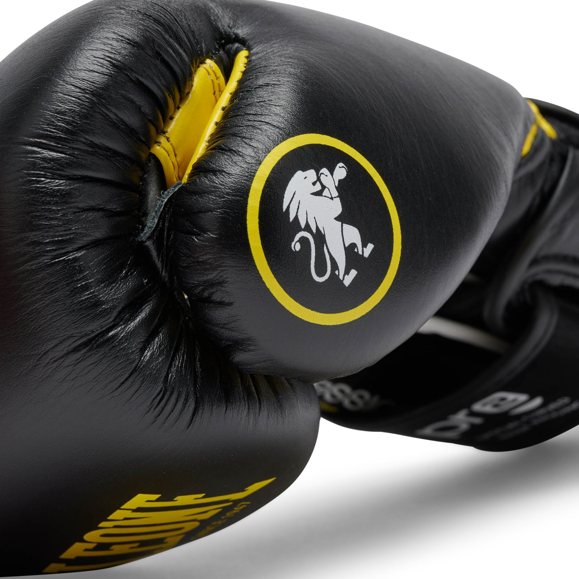 PROFESSIONAL 2 BOXING GLOVES
GN115C