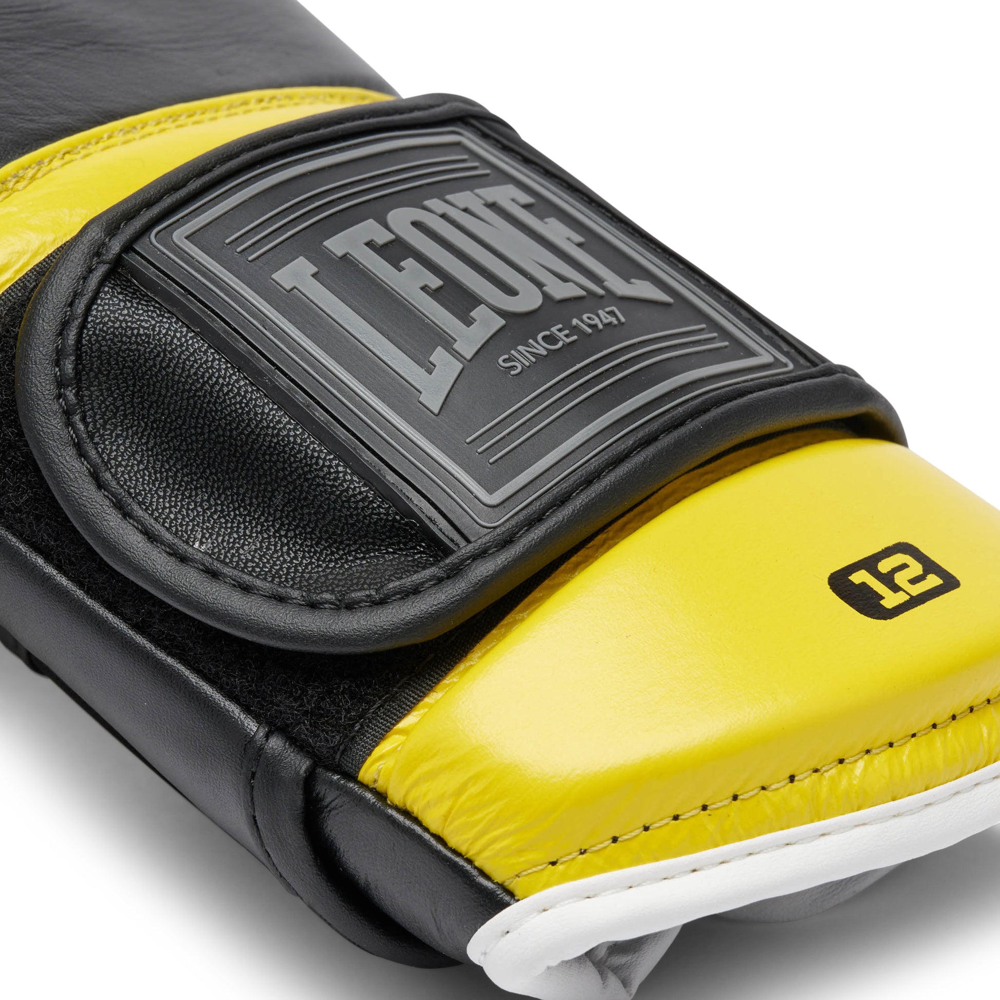 PROFESSIONAL 2 BOXING GLOVES
GN115C