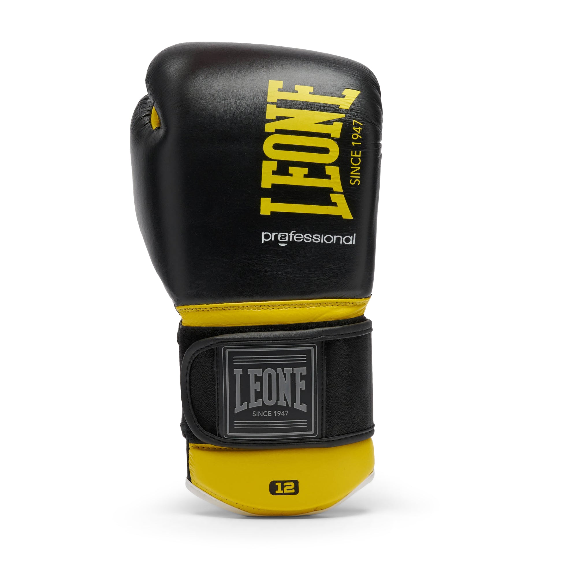 PROFESSIONAL 2 BOXING GLOVES
GN115C