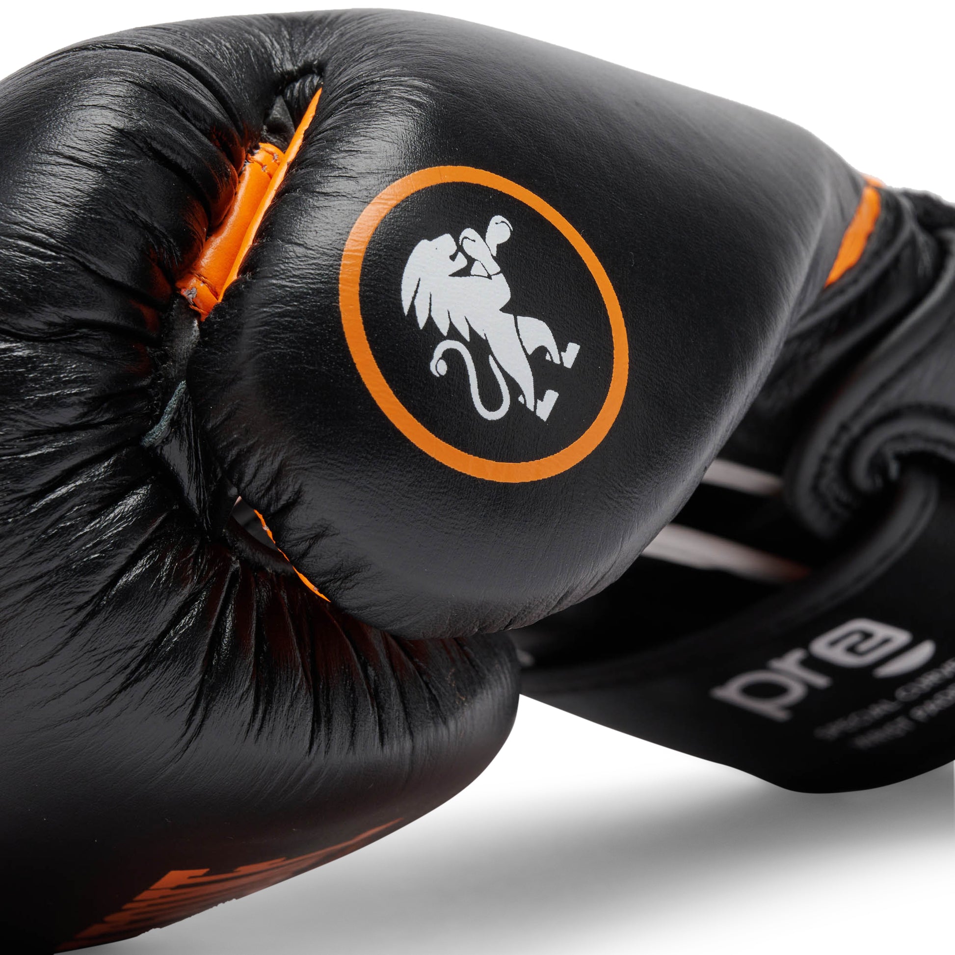 PROFESSIONAL 2 BOXING GLOVES
GN115C