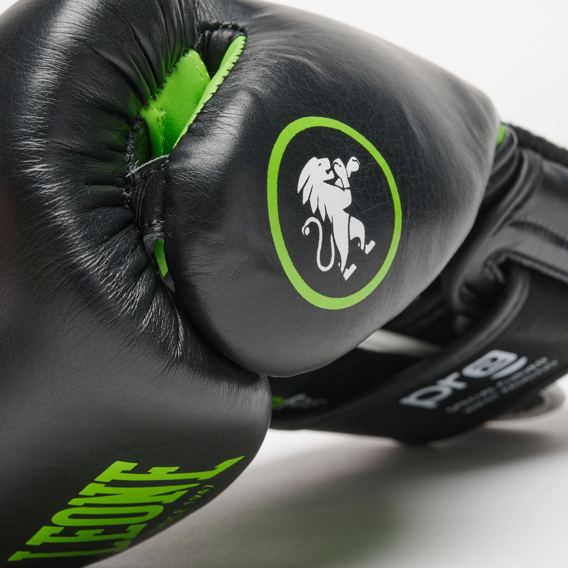 PROFESSIONAL 2 BOXING GLOVES
GN115C