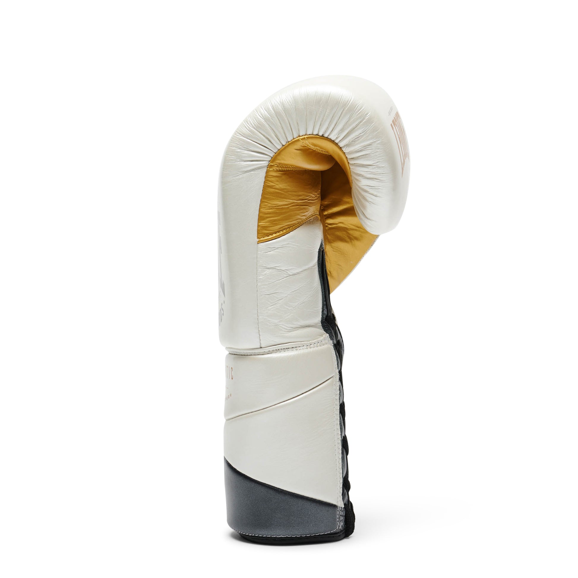 BOXING GLOVES AUTHENTIC 2
GN116L