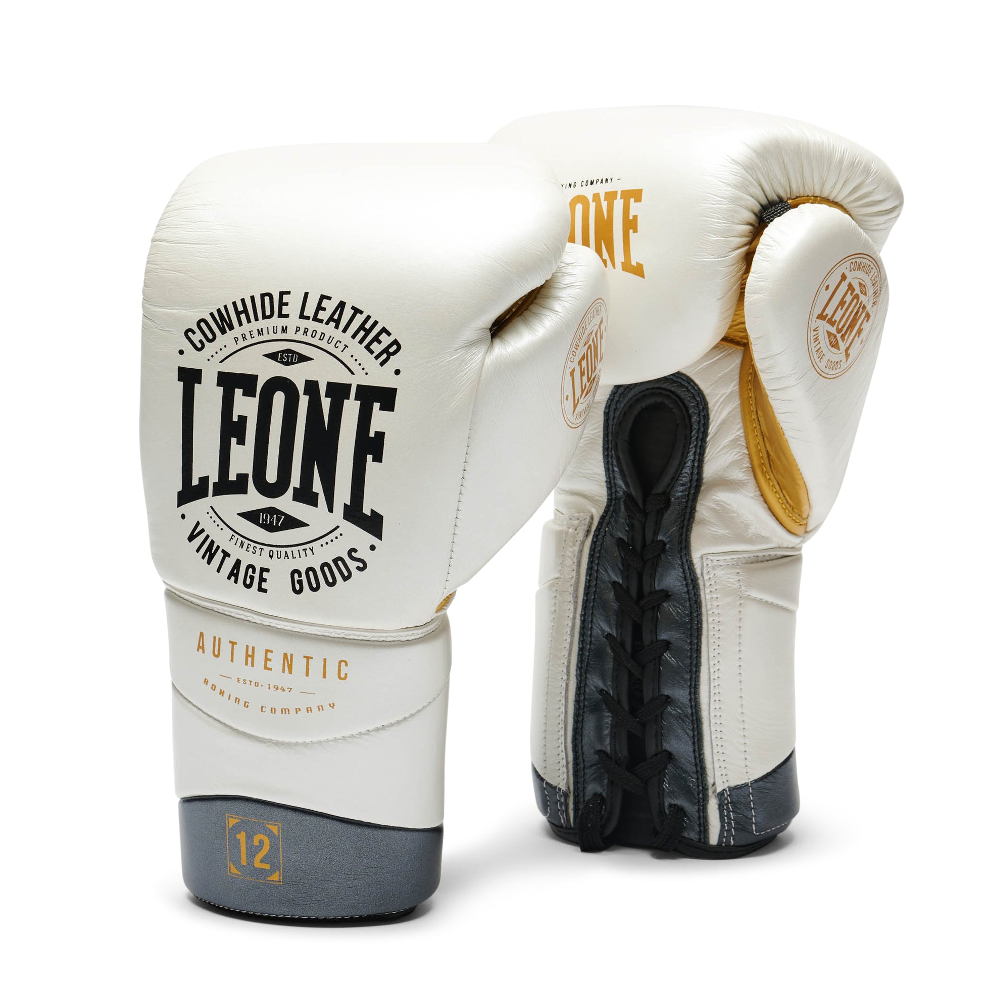 BOXING GLOVES AUTHENTIC 2
GN116L
