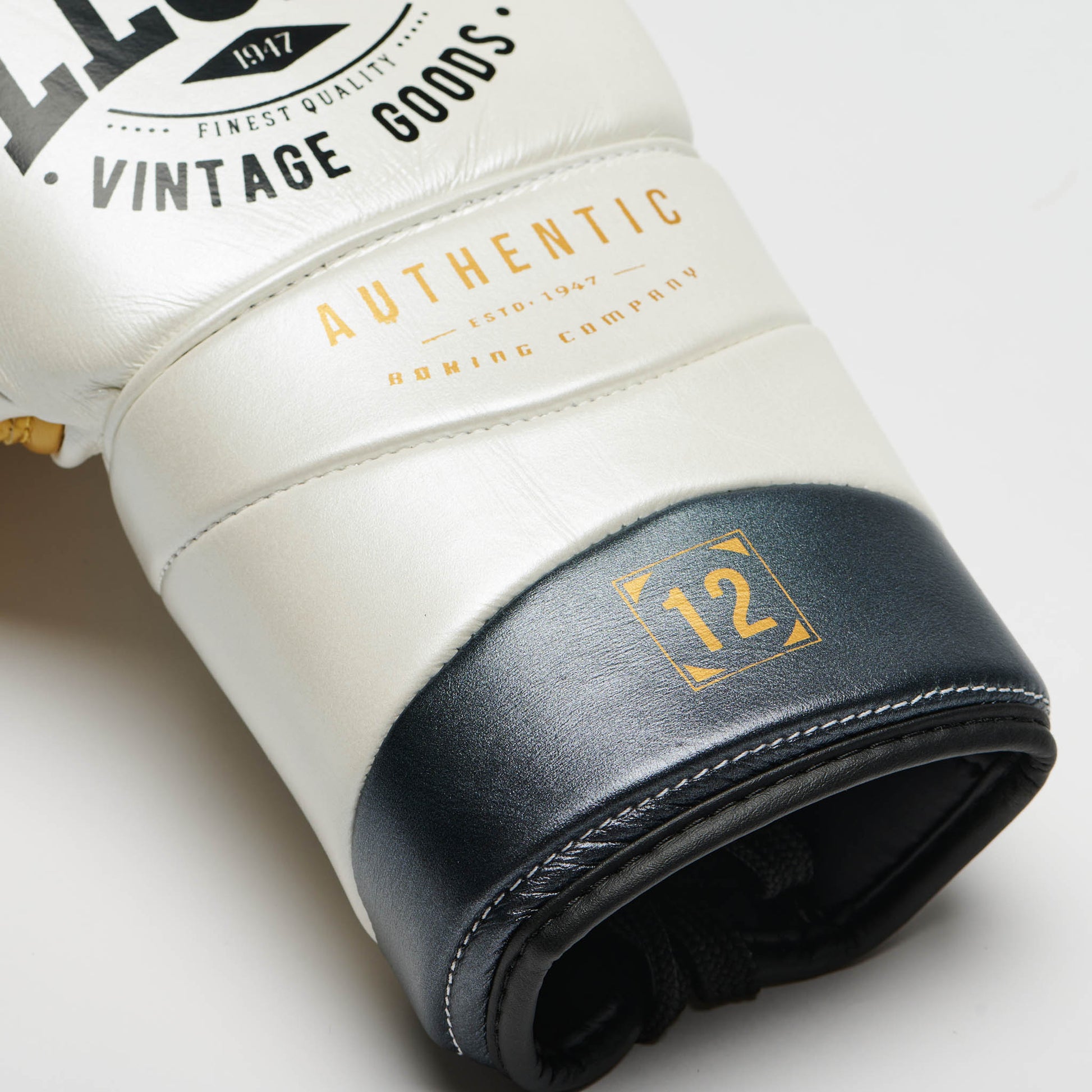 BOXING GLOVES AUTHENTIC 2
GN116L