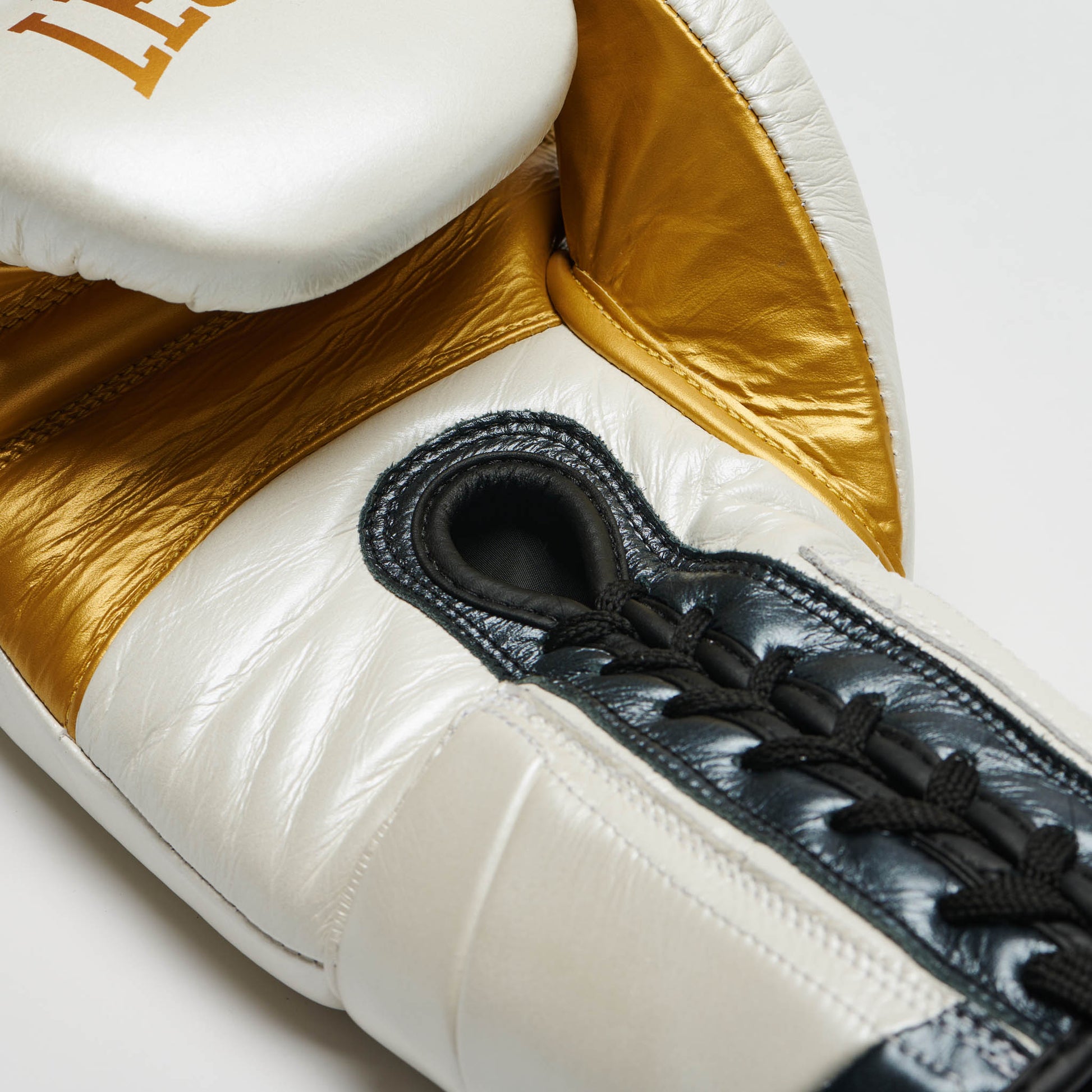 BOXING GLOVES AUTHENTIC 2
GN116L