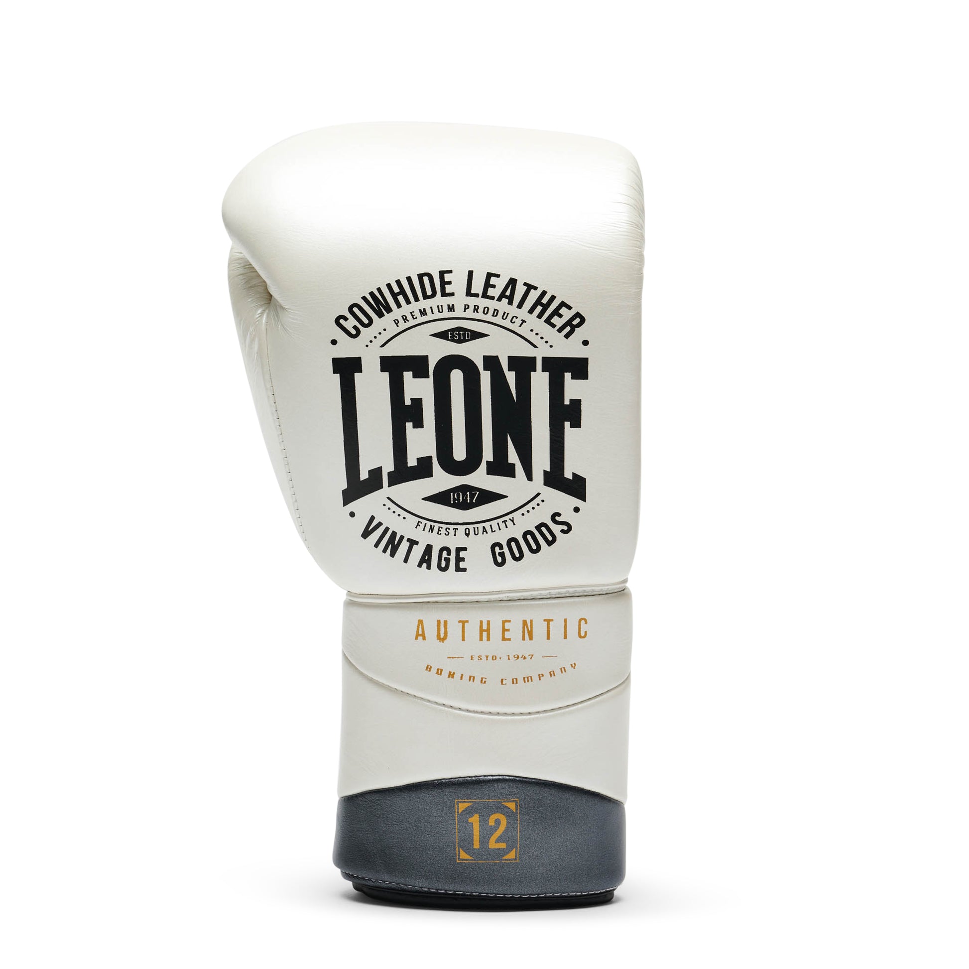 BOXING GLOVES AUTHENTIC 2
GN116L