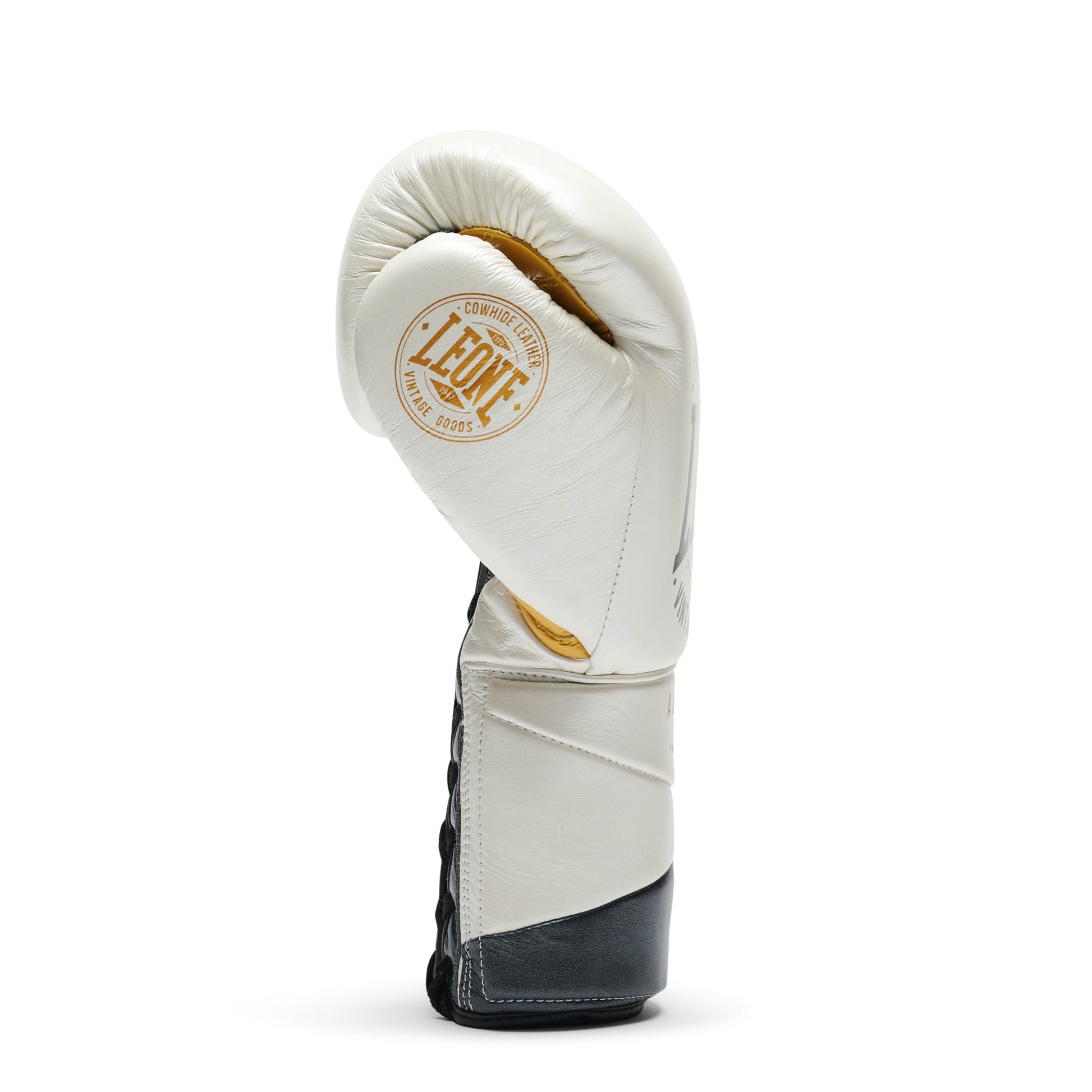 BOXING GLOVES AUTHENTIC 2
GN116L