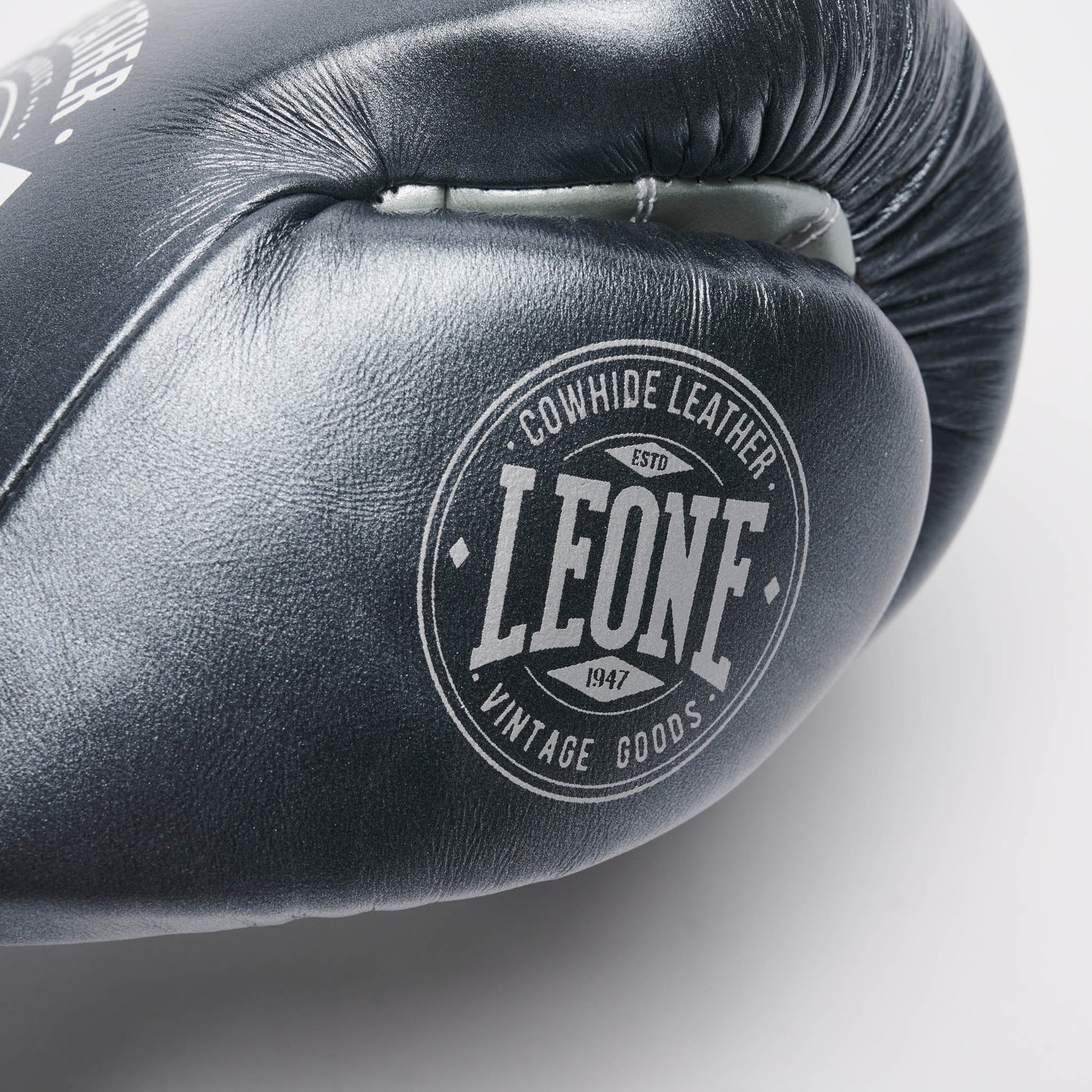 BOXING GLOVES AUTHENTIC 2
GN116L