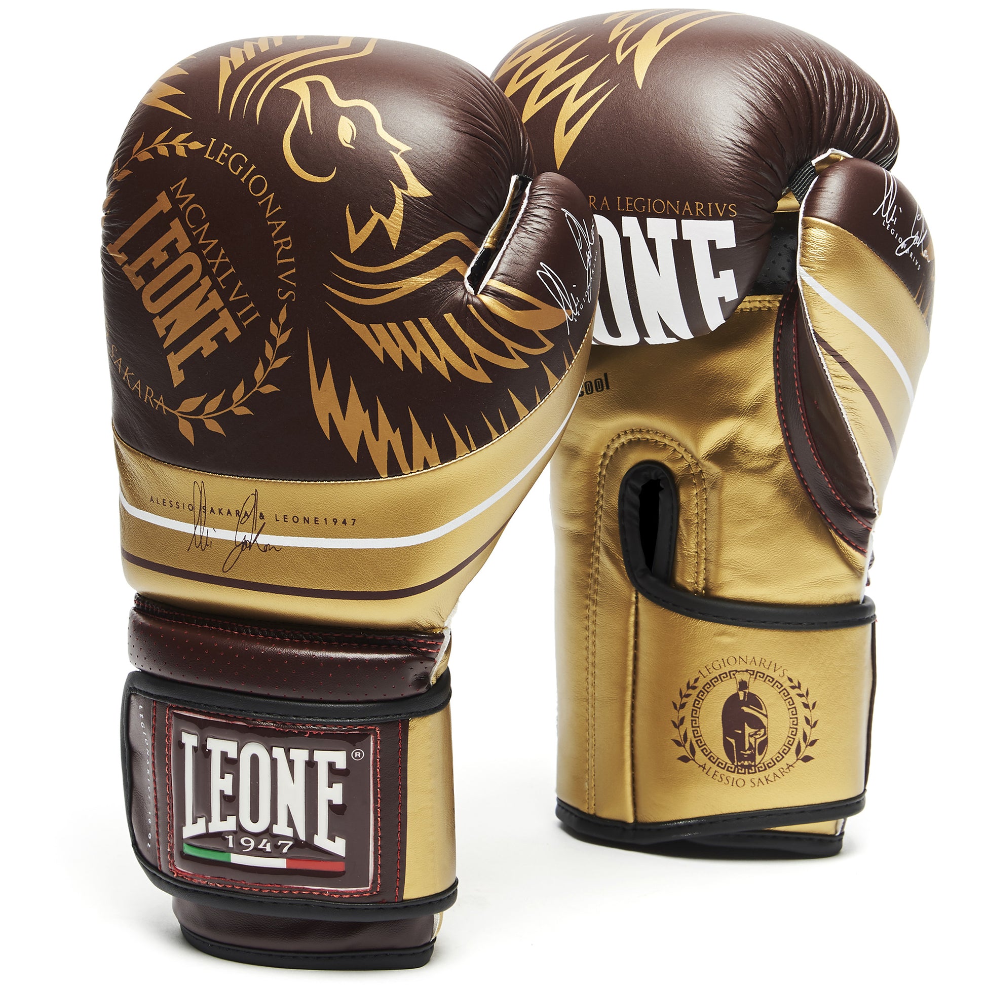 LEGIONARIVS BOXING GLOVES
GN202