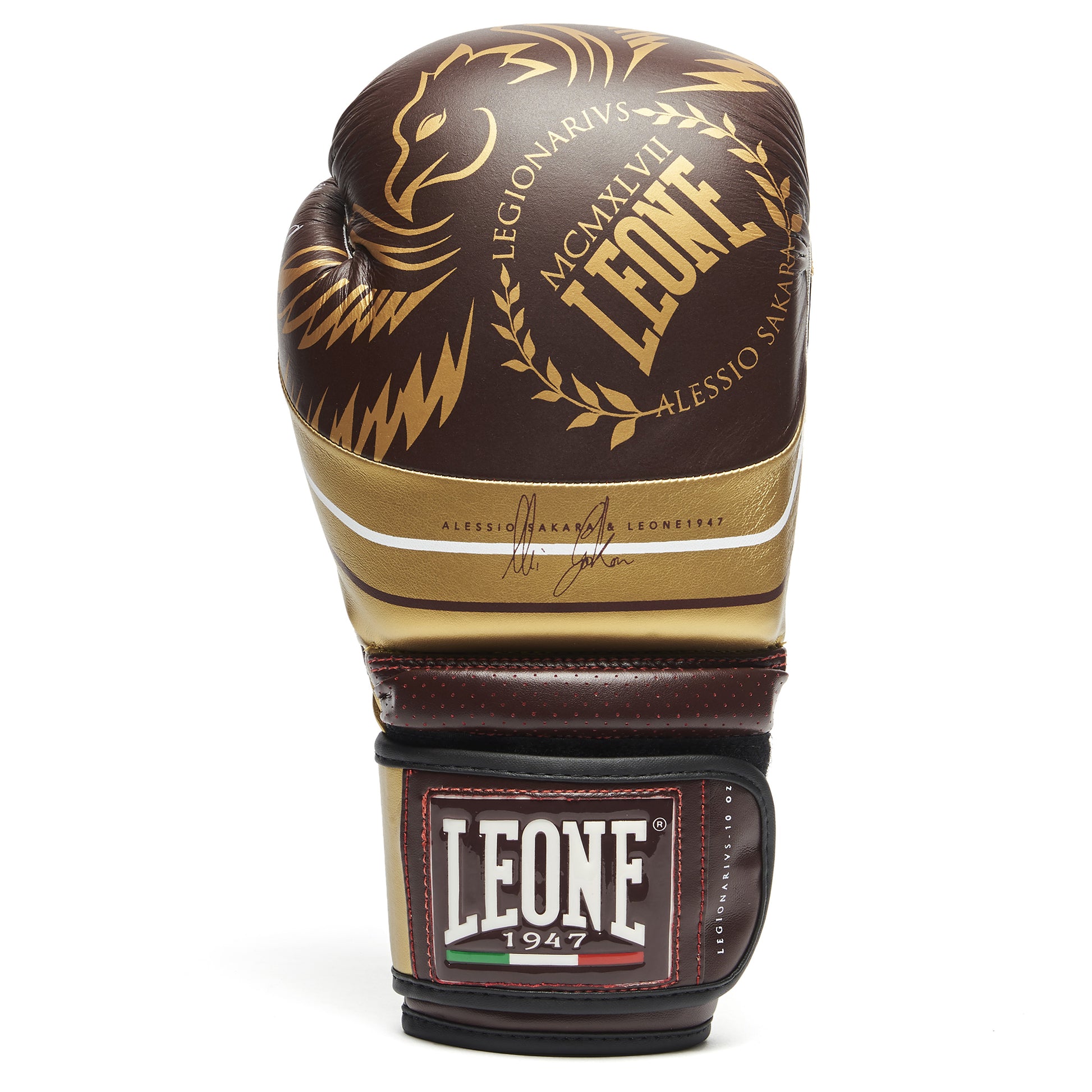 LEGIONARIVS BOXING GLOVES
GN202