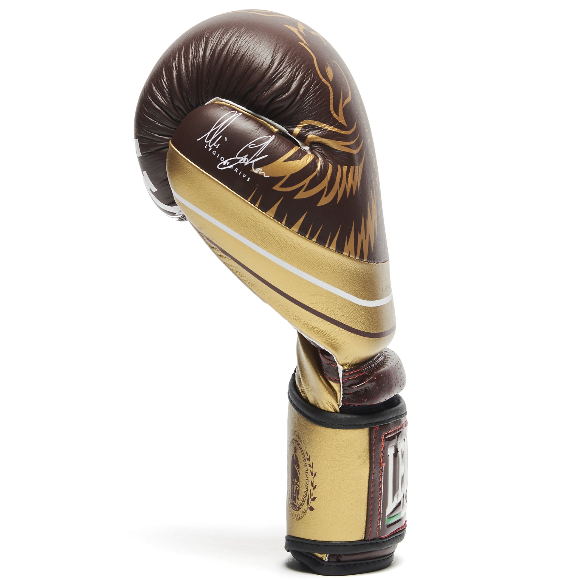 LEGIONARIVS BOXING GLOVES
GN202