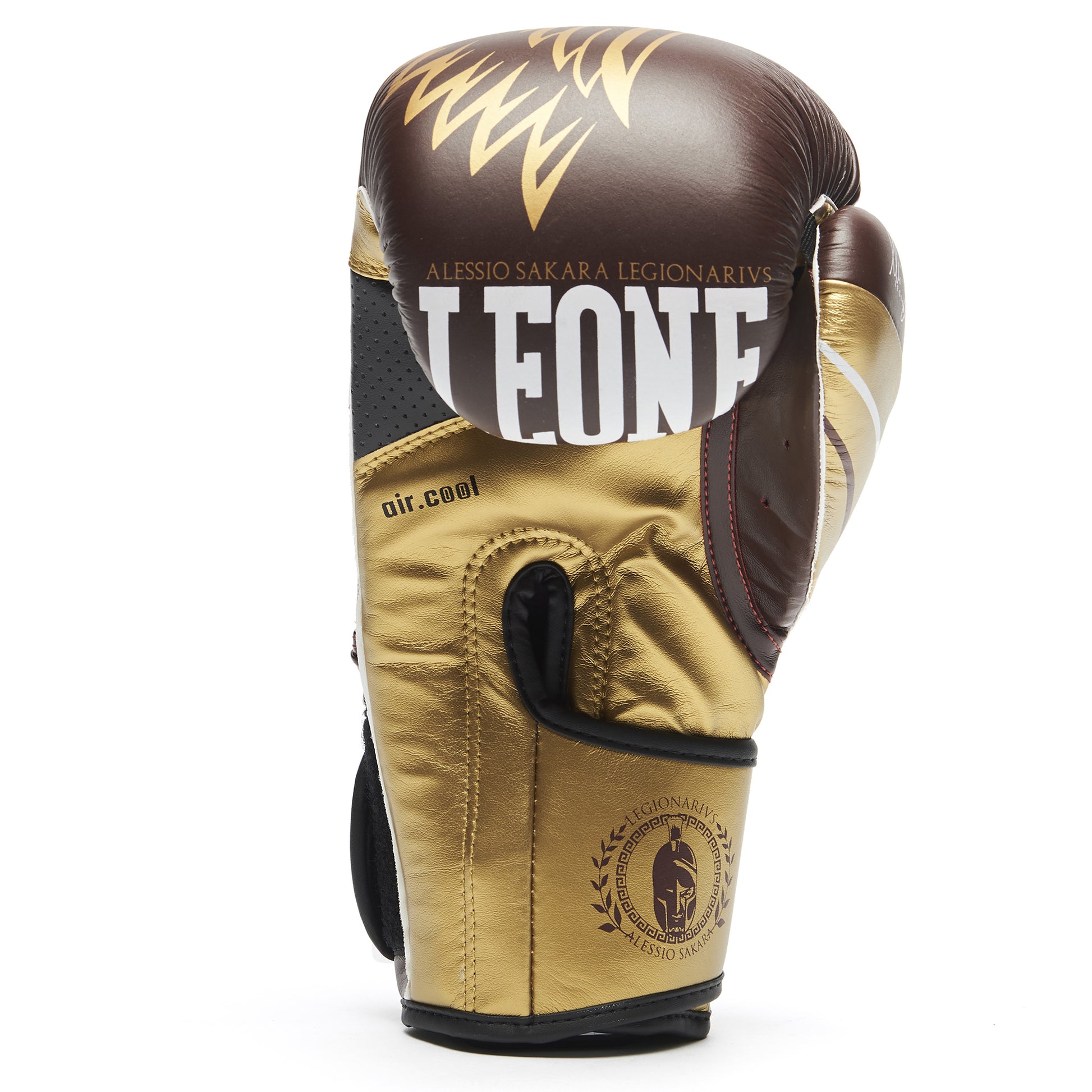 LEGIONARIVS BOXING GLOVES
GN202