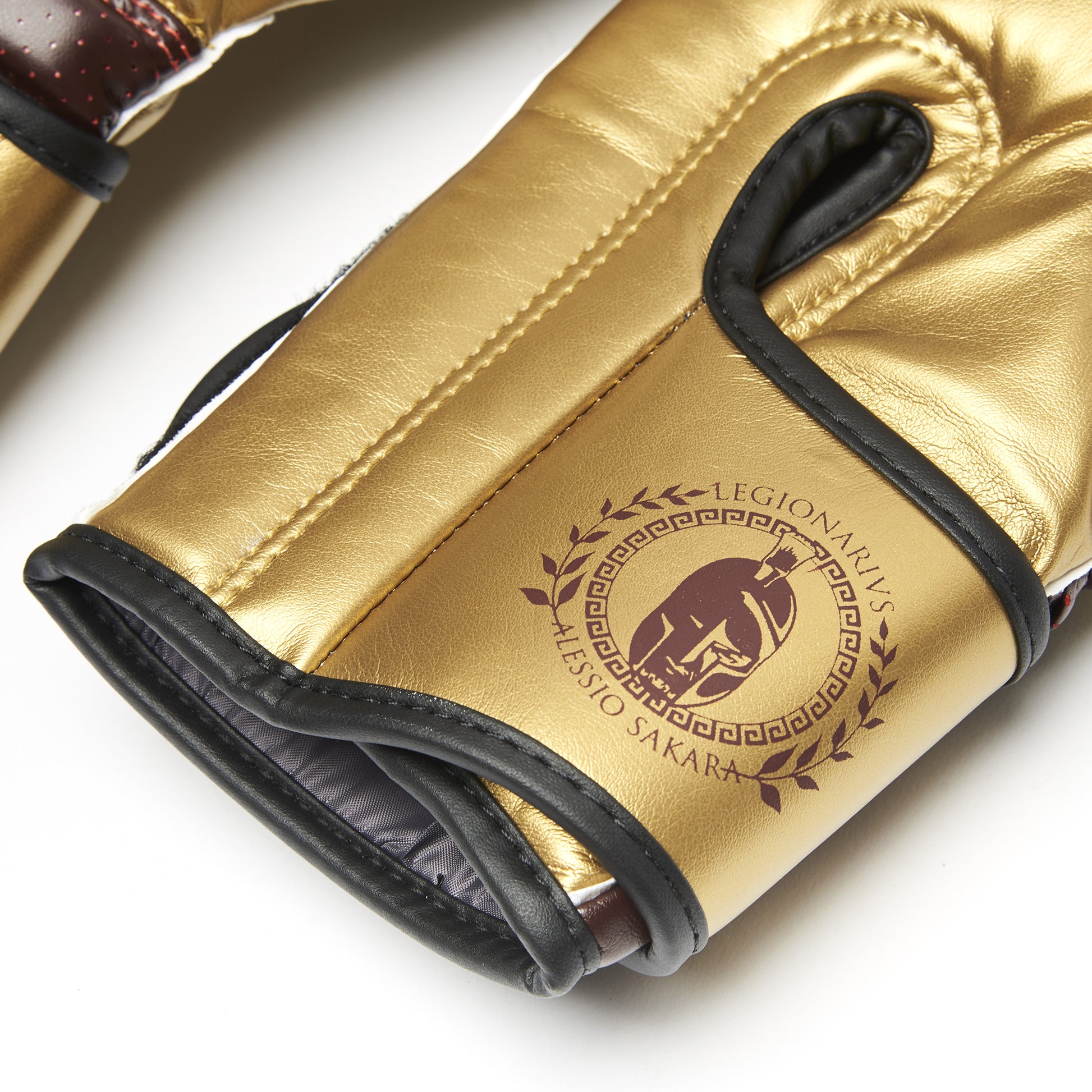 LEGIONARIVS BOXING GLOVES
GN202