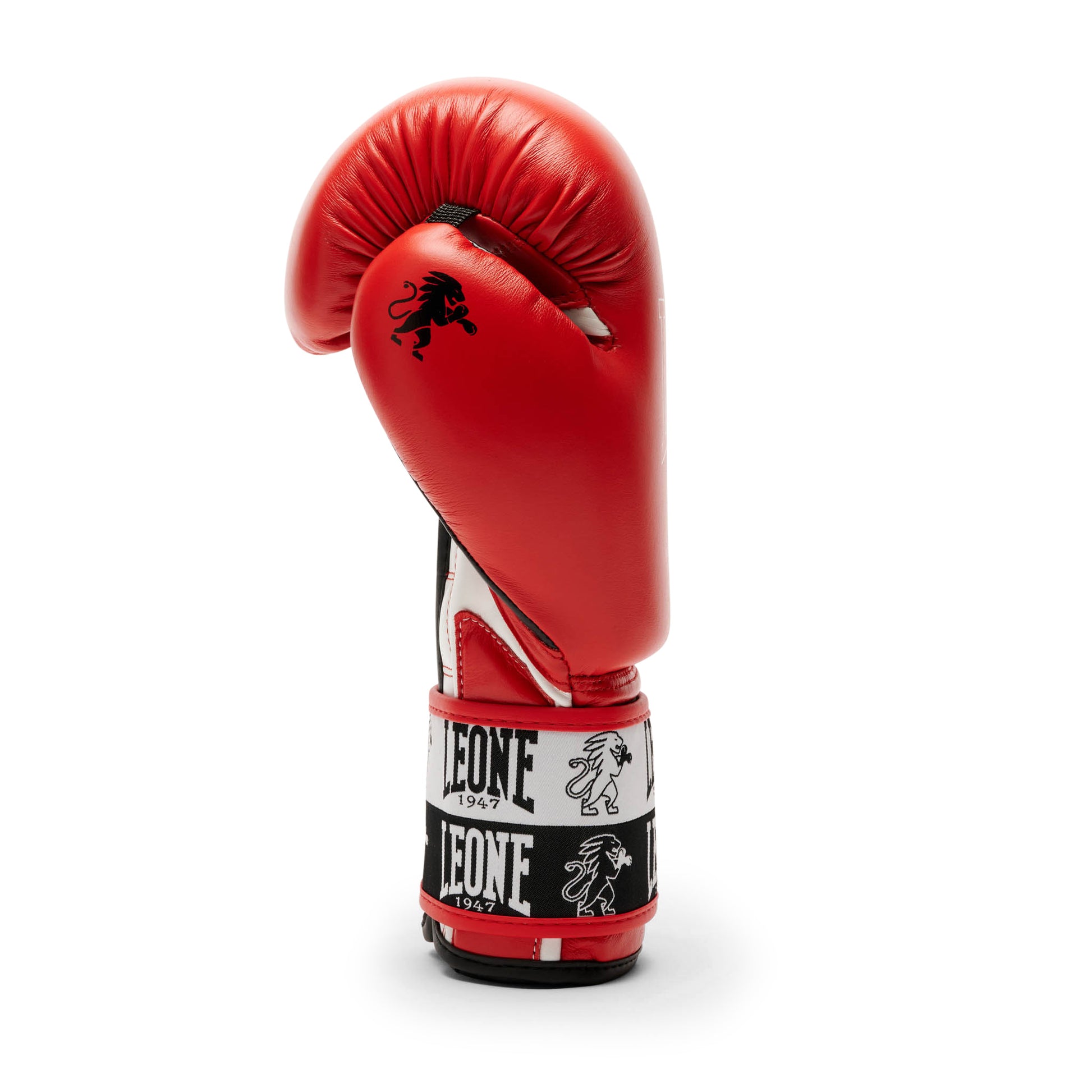 ICONIC BOXING GLOVES
GN208