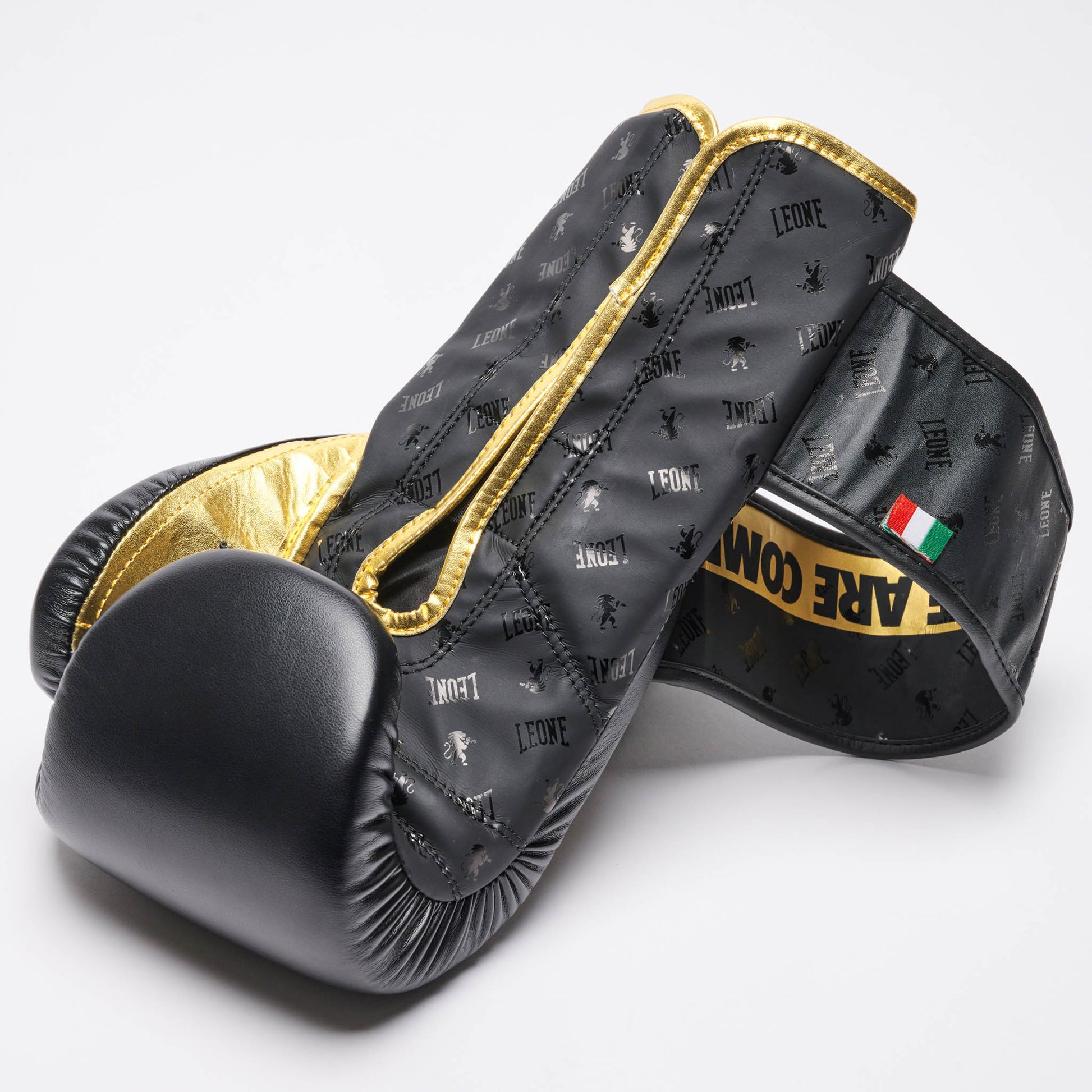 BOXING GLOVES DNA
GN220