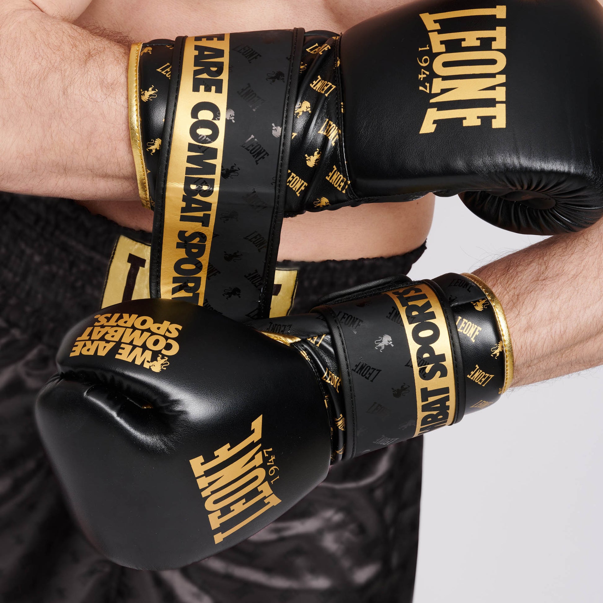 BOXING GLOVES DNA
GN220