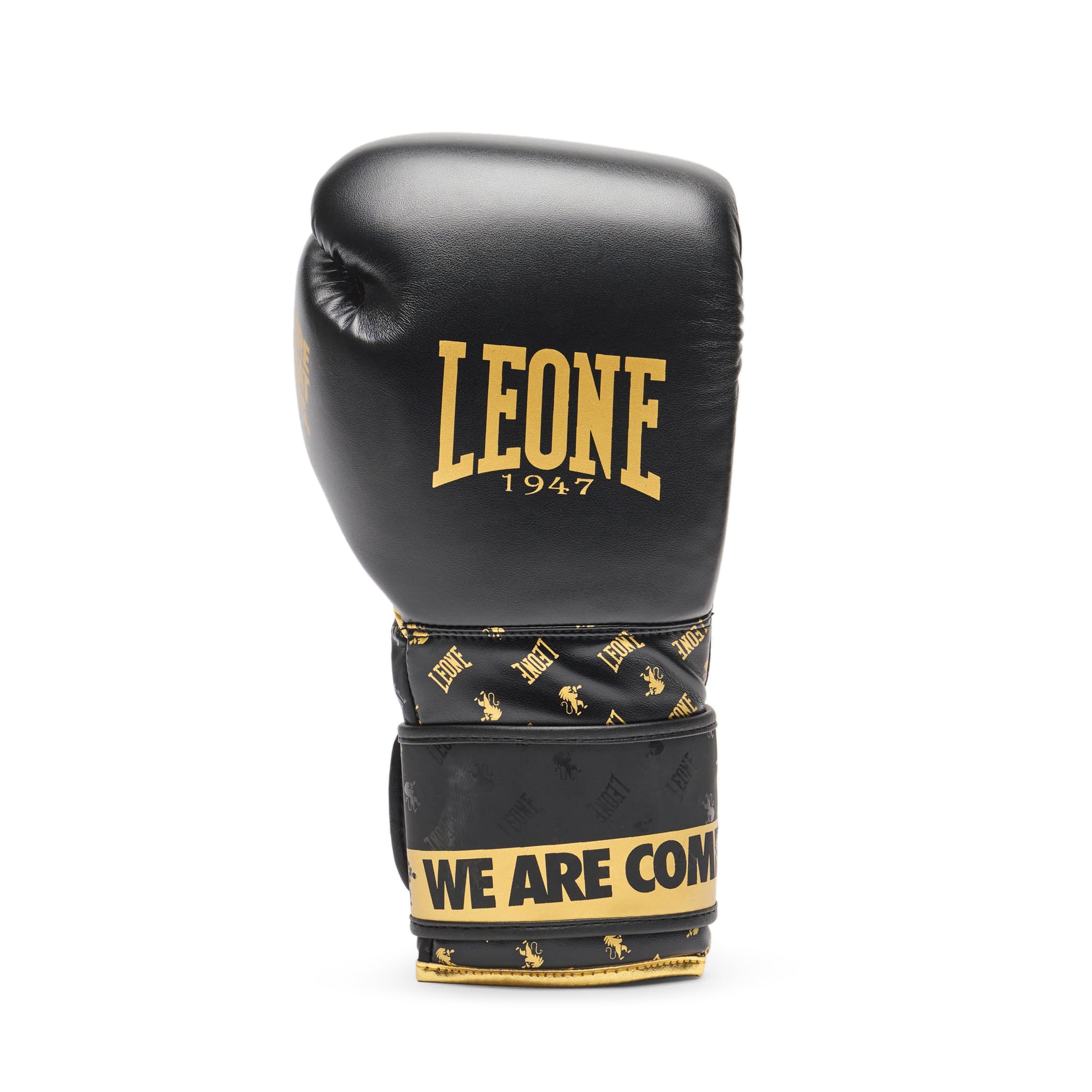 BOXING GLOVES DNA
GN220