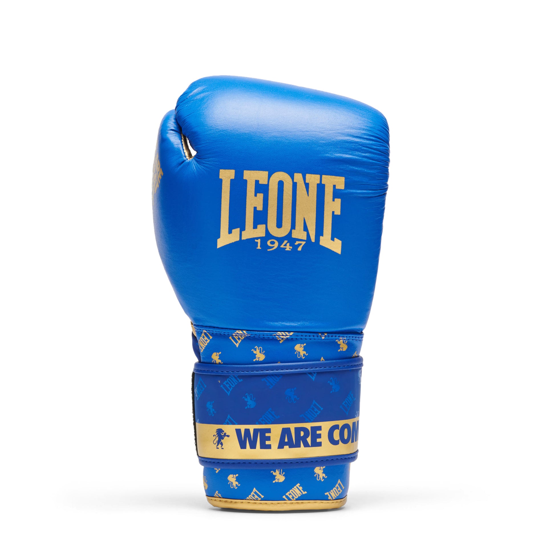 BOXING GLOVES DNA
GN220