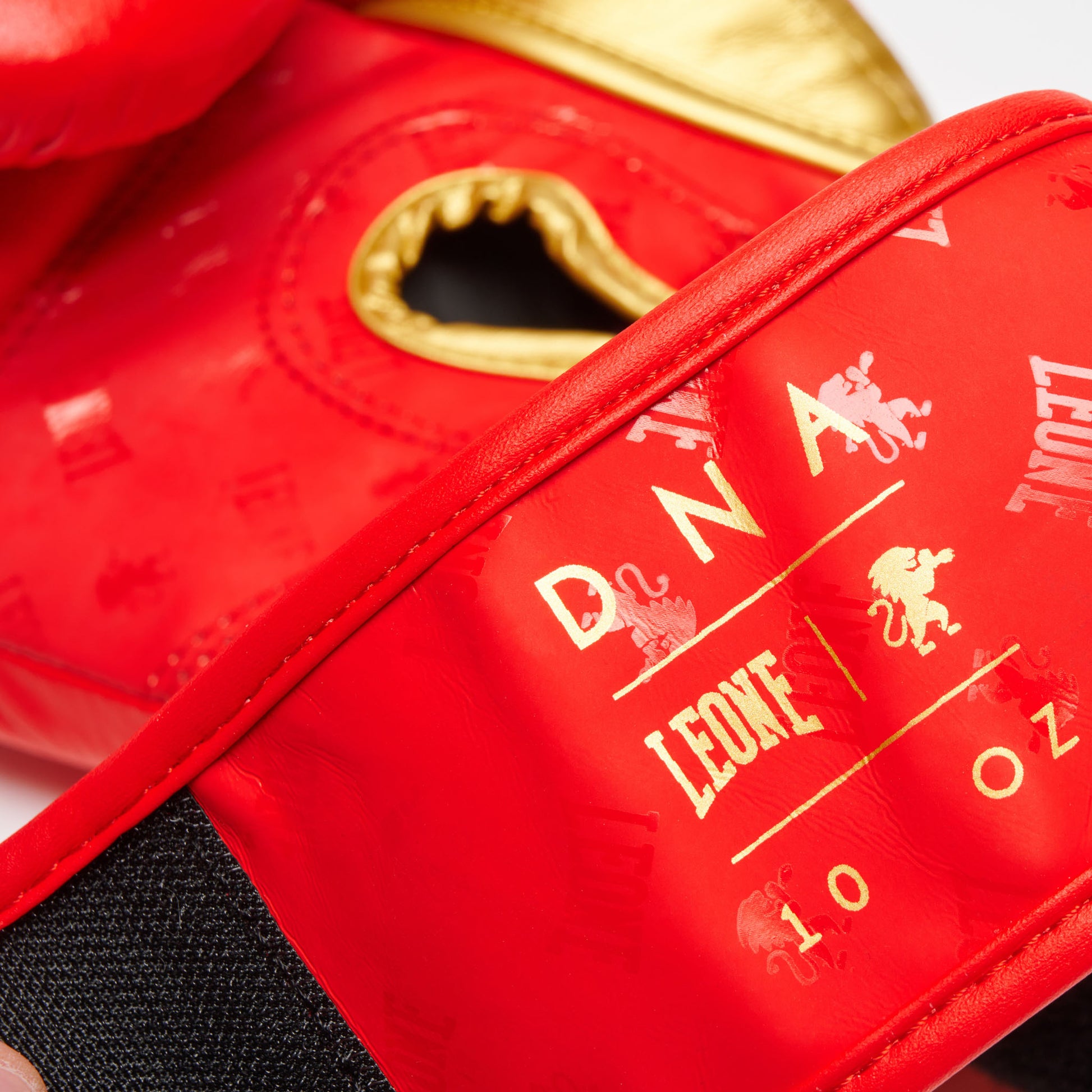 BOXING GLOVES DNA
GN220
