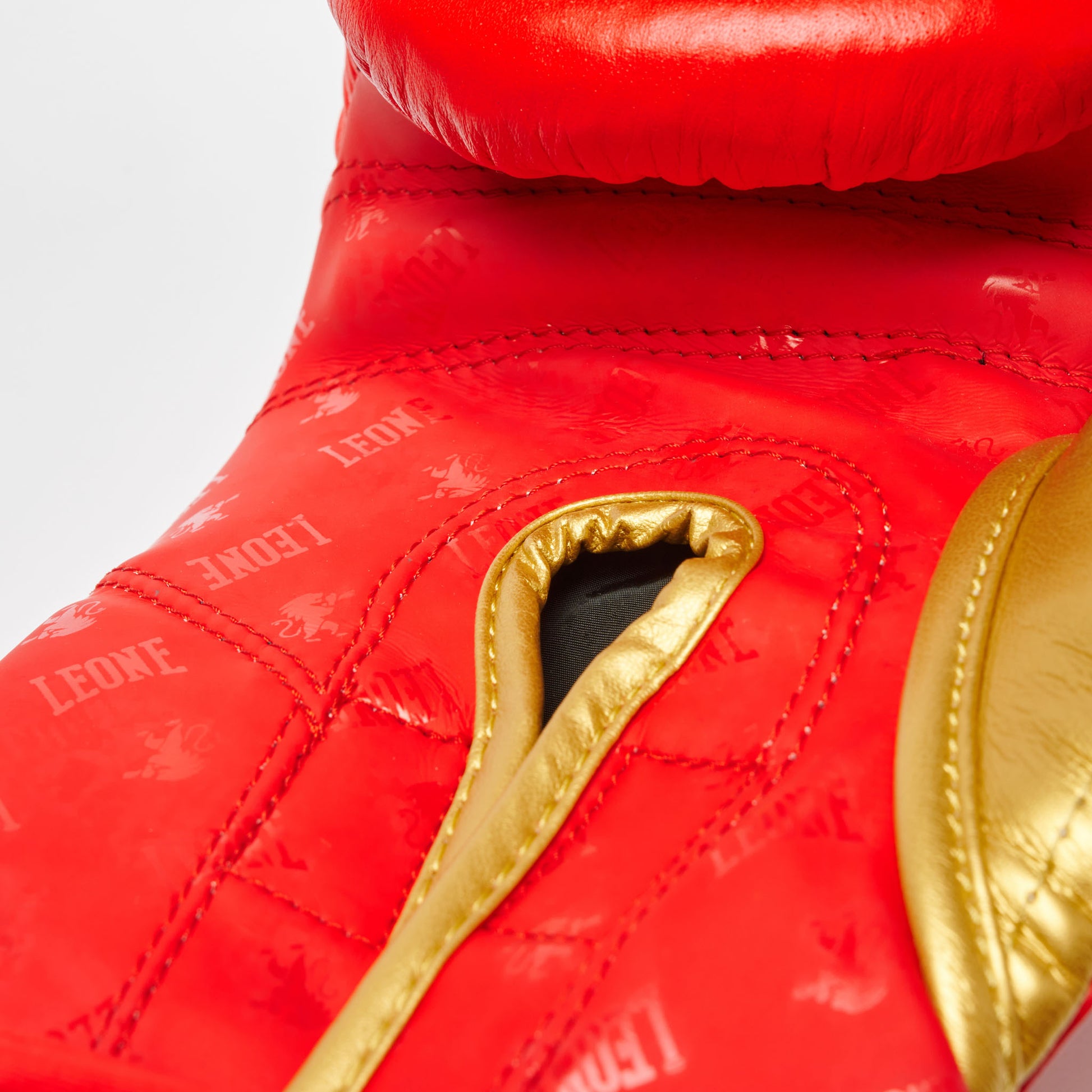BOXING GLOVES DNA
GN220