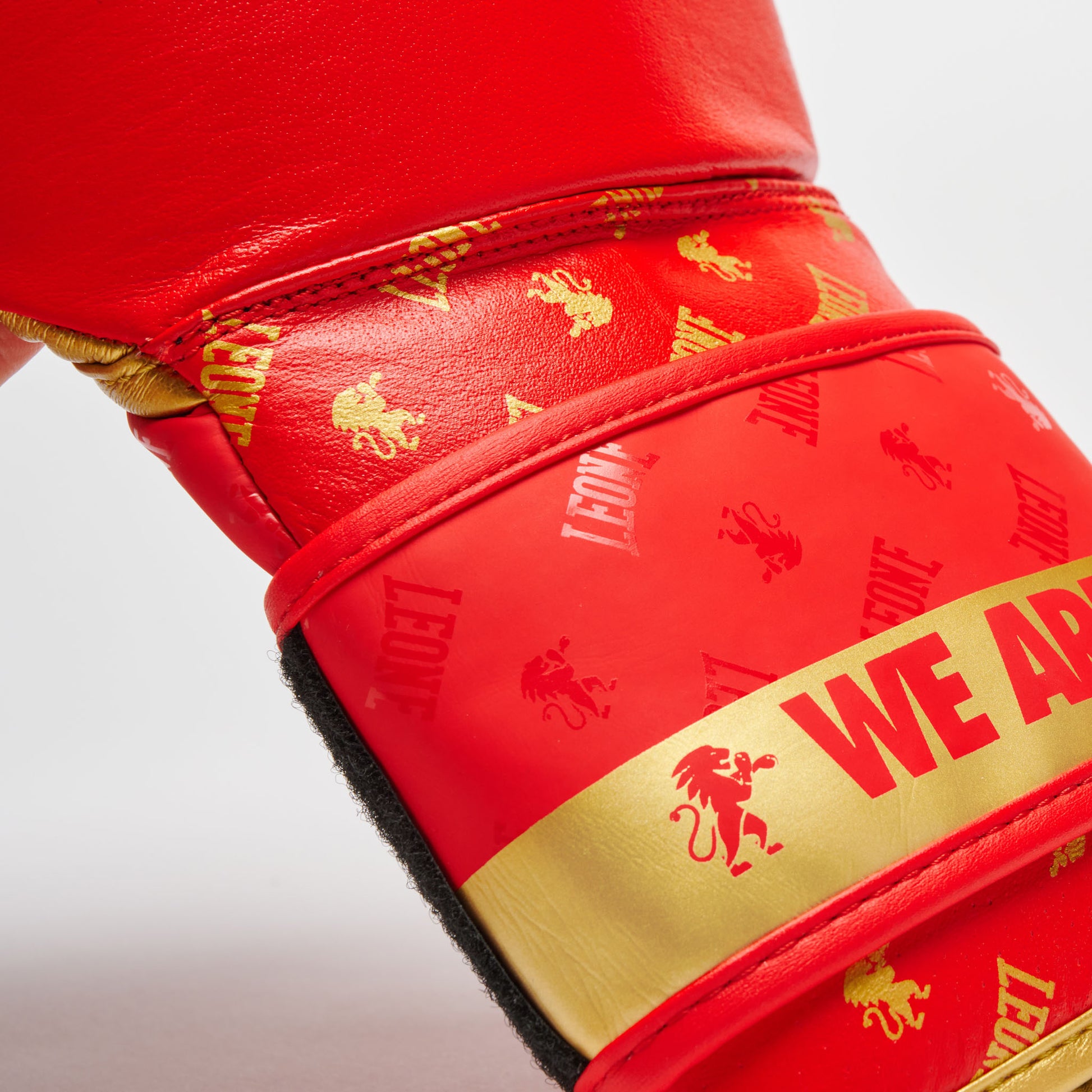 BOXING GLOVES DNA
GN220