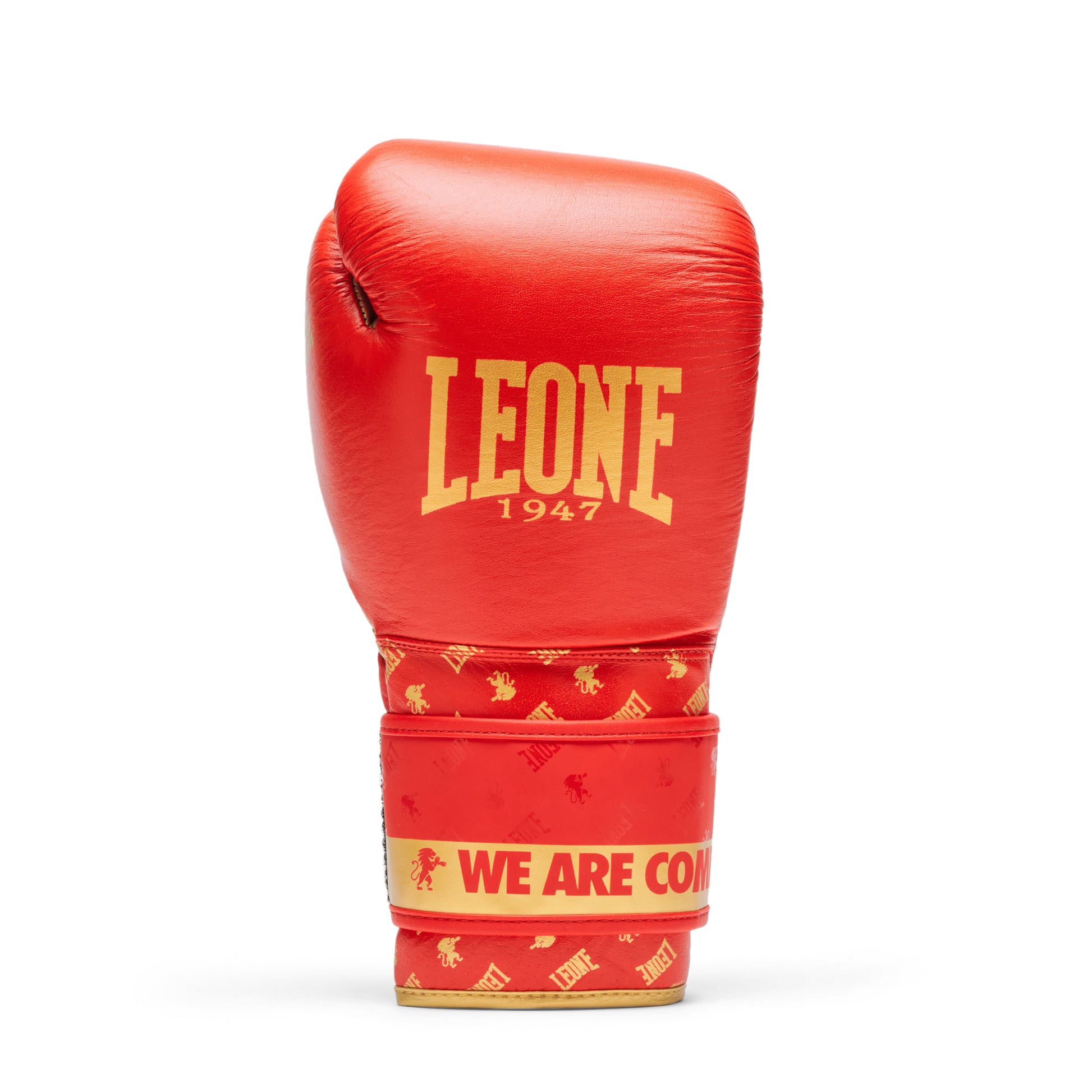 BOXING GLOVES DNA
GN220