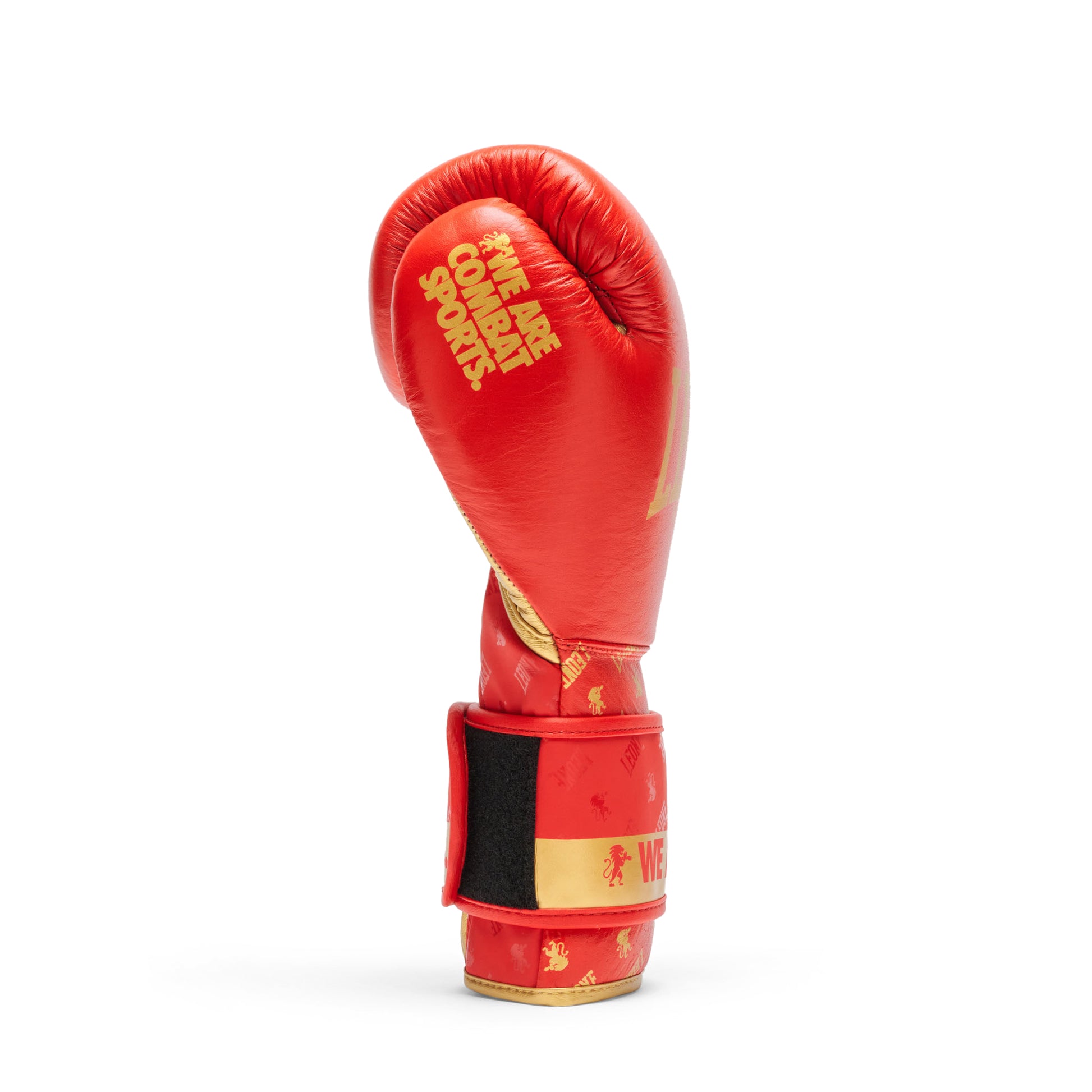 BOXING GLOVES DNA
GN220