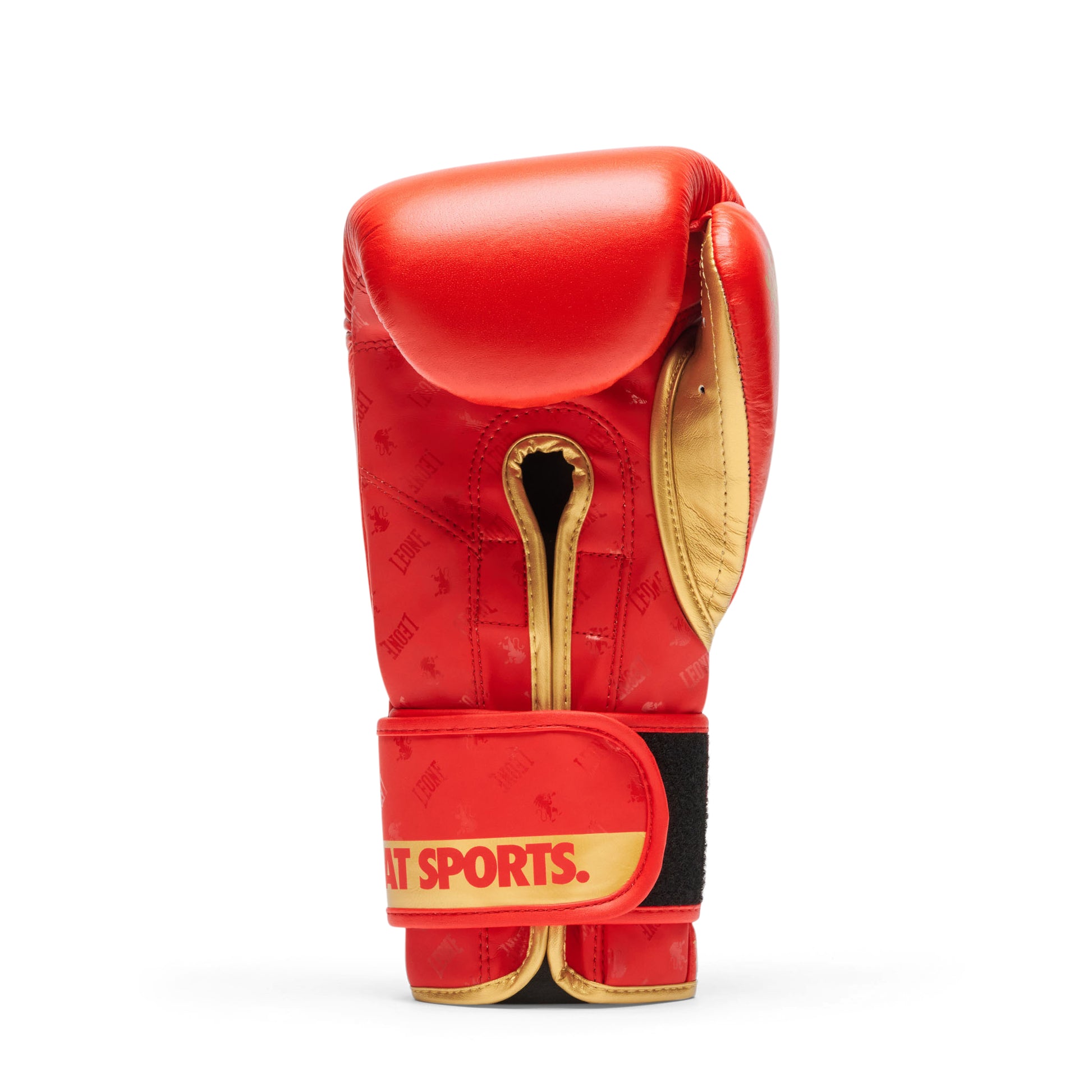 BOXING GLOVES DNA
GN220