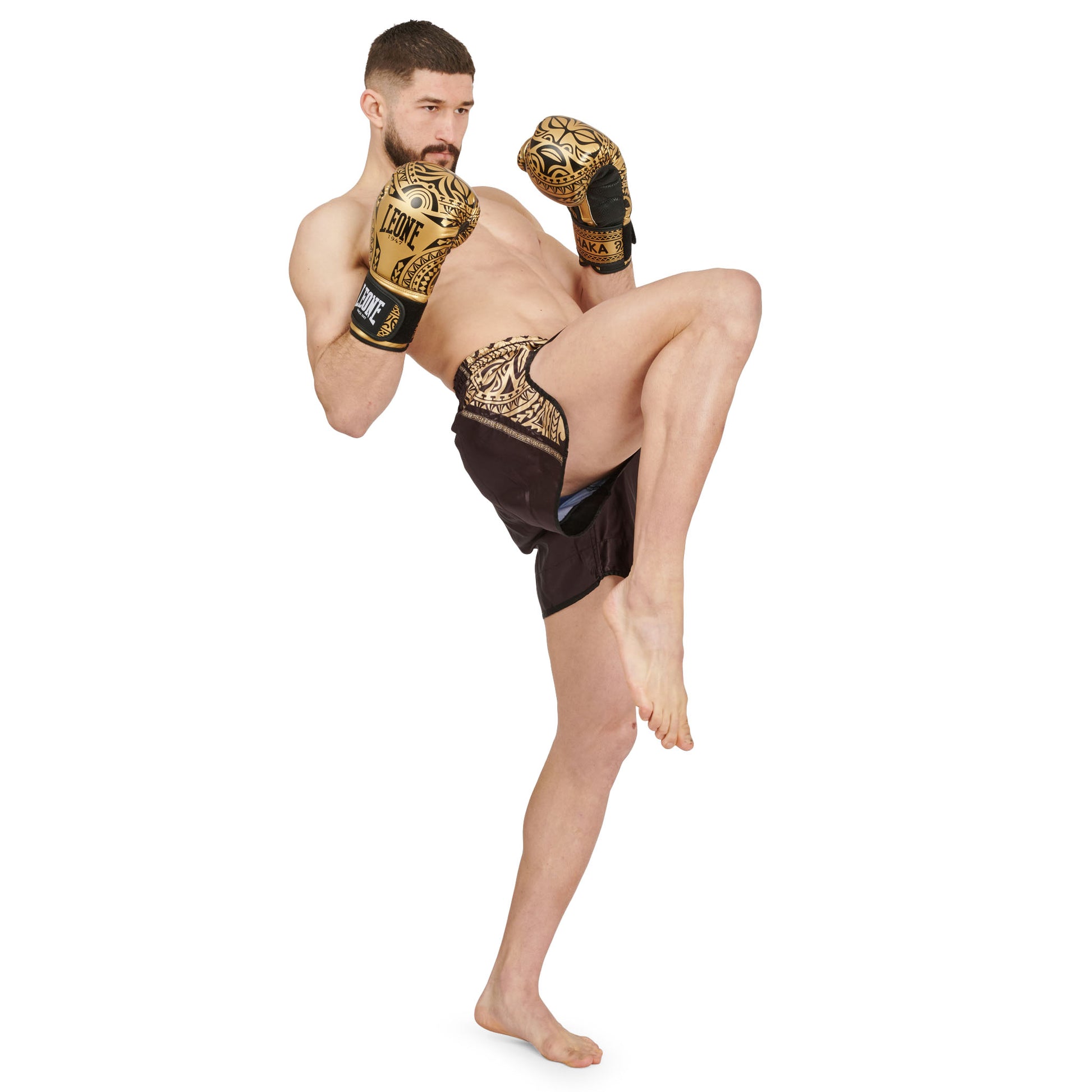 HAKA BOXING GLOVES
GN329