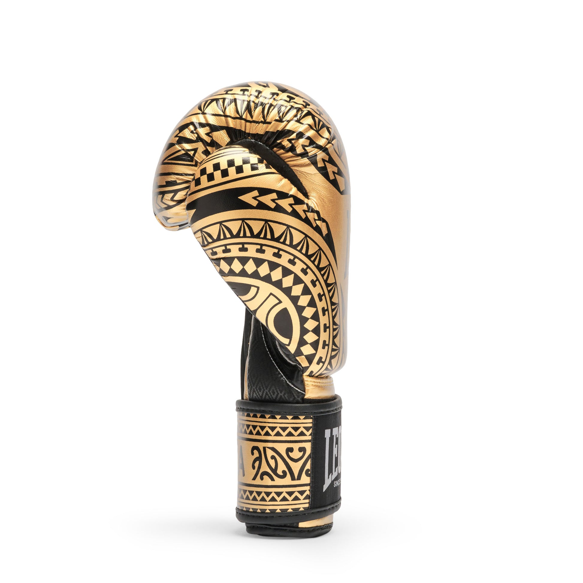 HAKA BOXING GLOVES
GN329