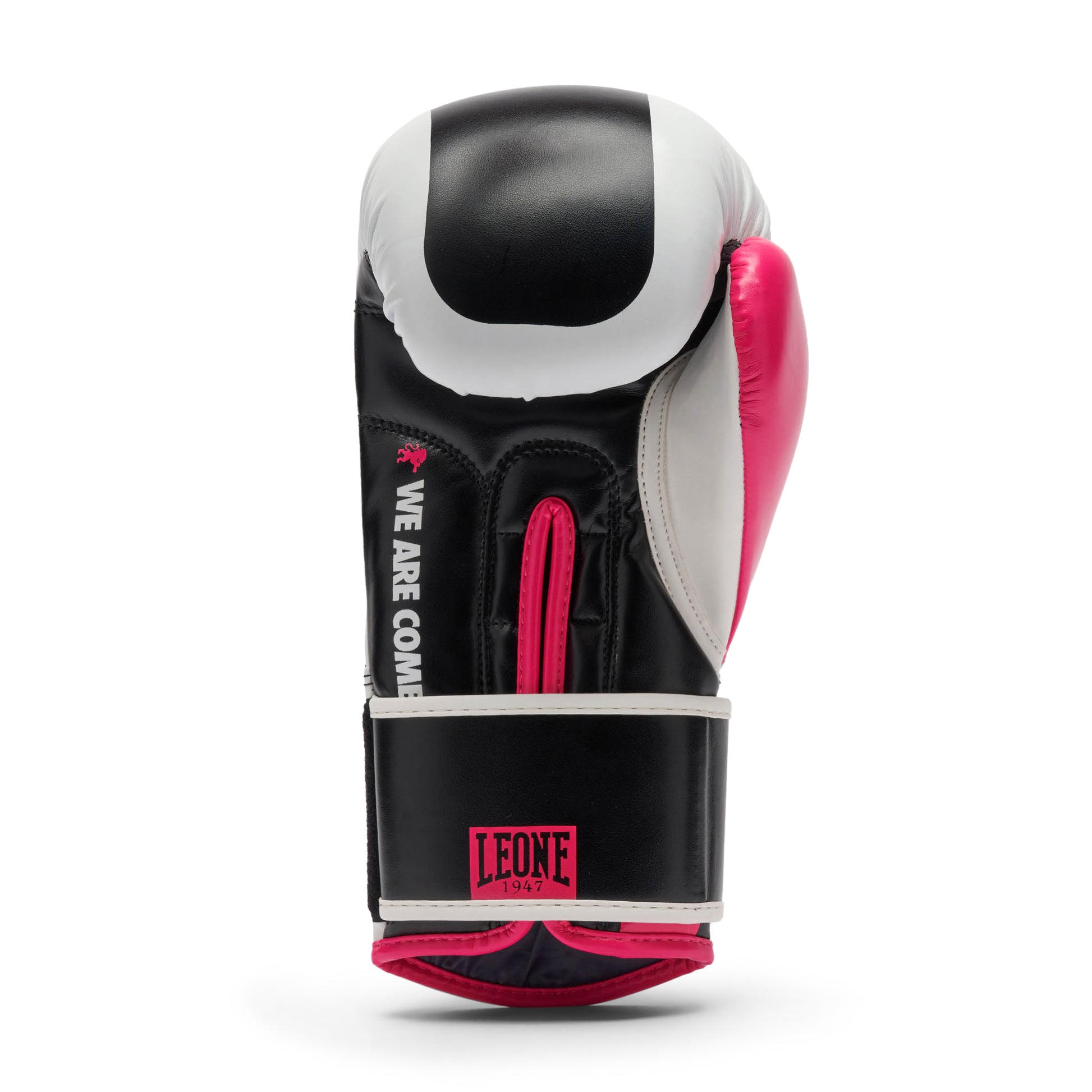 COLOR BLOCK BOXING GLOVES
GN334