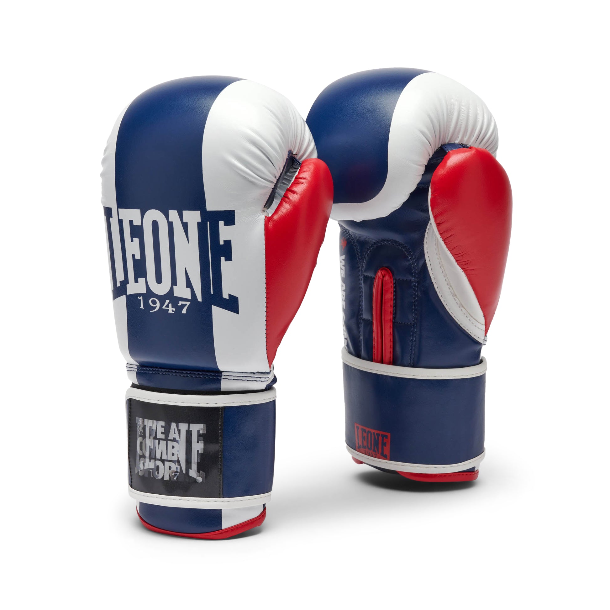 COLOR BLOCK BOXING GLOVES
GN334
