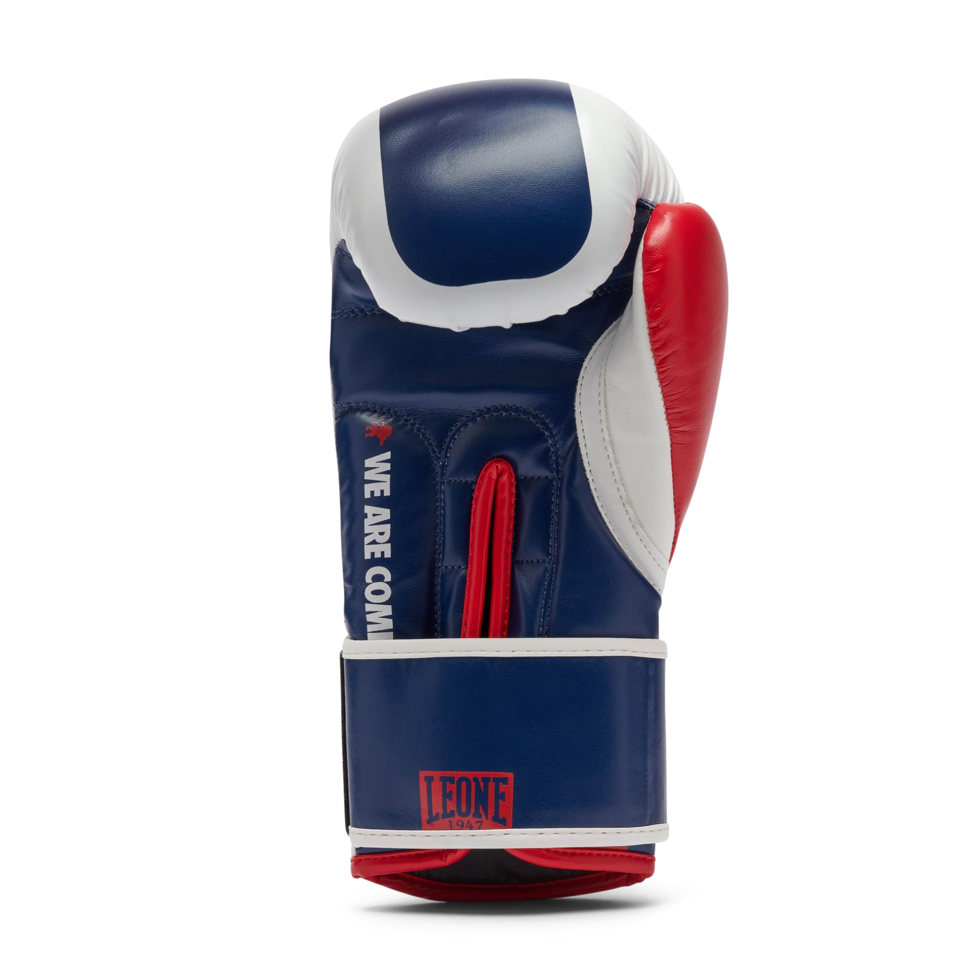COLOR BLOCK BOXING GLOVES
GN334